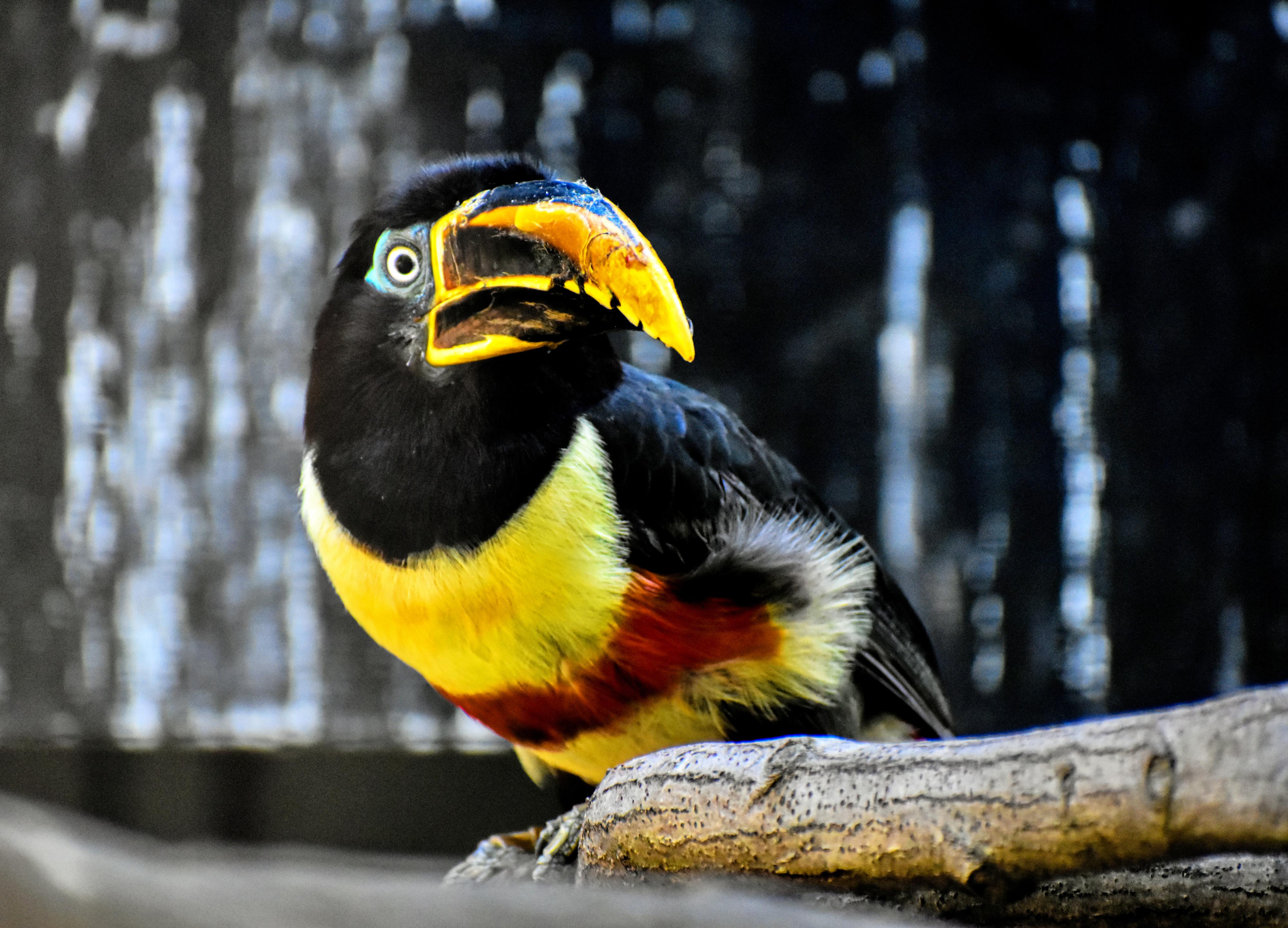 Zoologická zahrada Hodonín foto 6