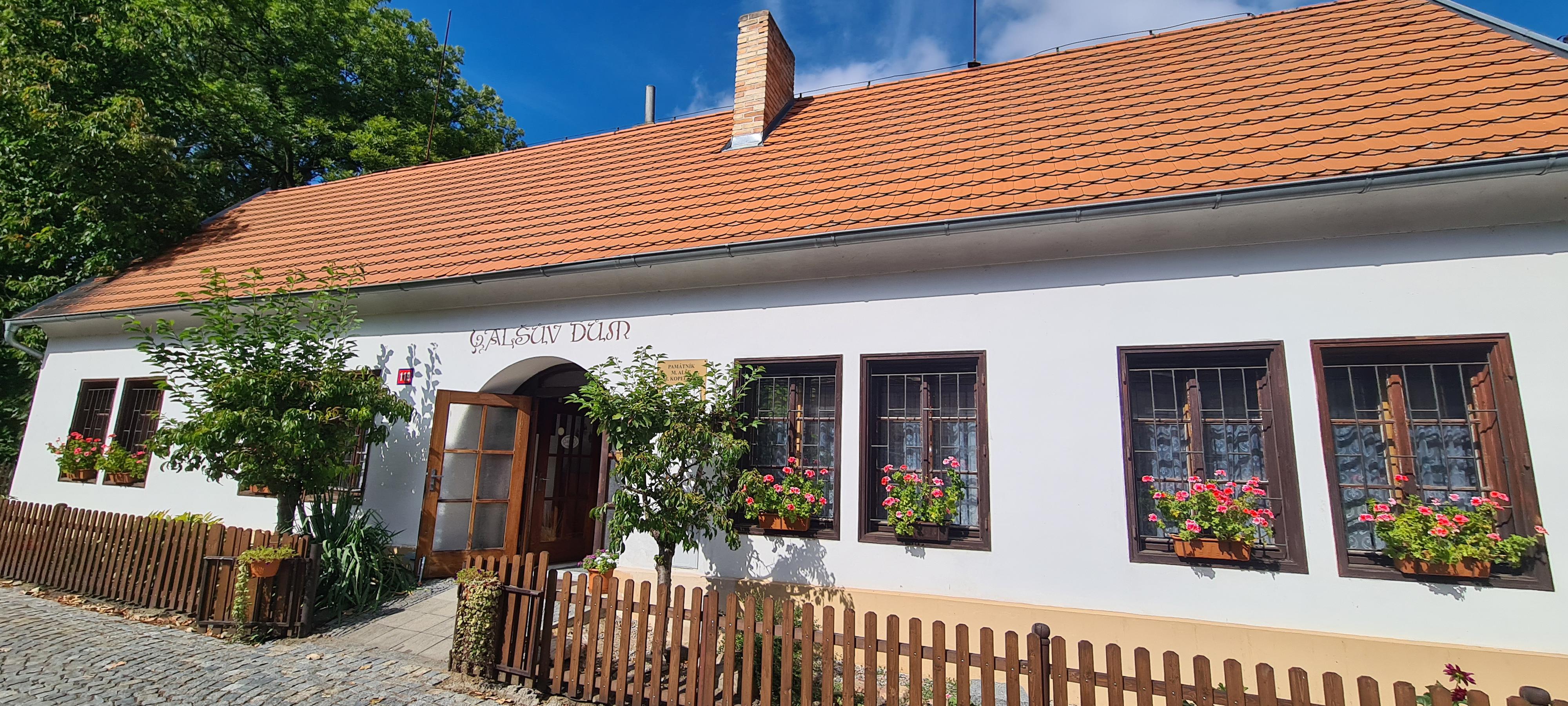 Památník Mikoláše Alše a Matěje Kopeckého foto 3