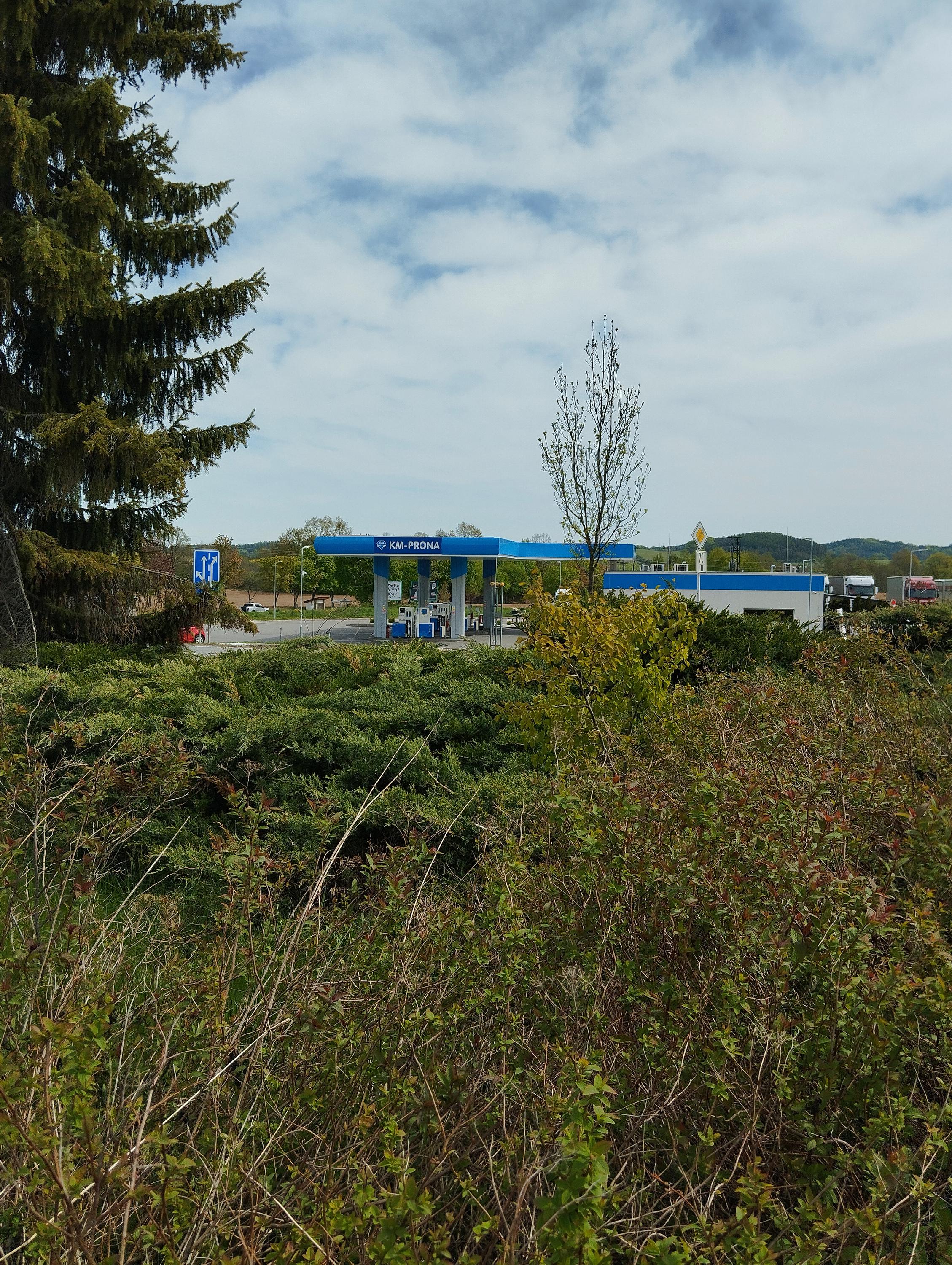 KM-PRONA foto 2