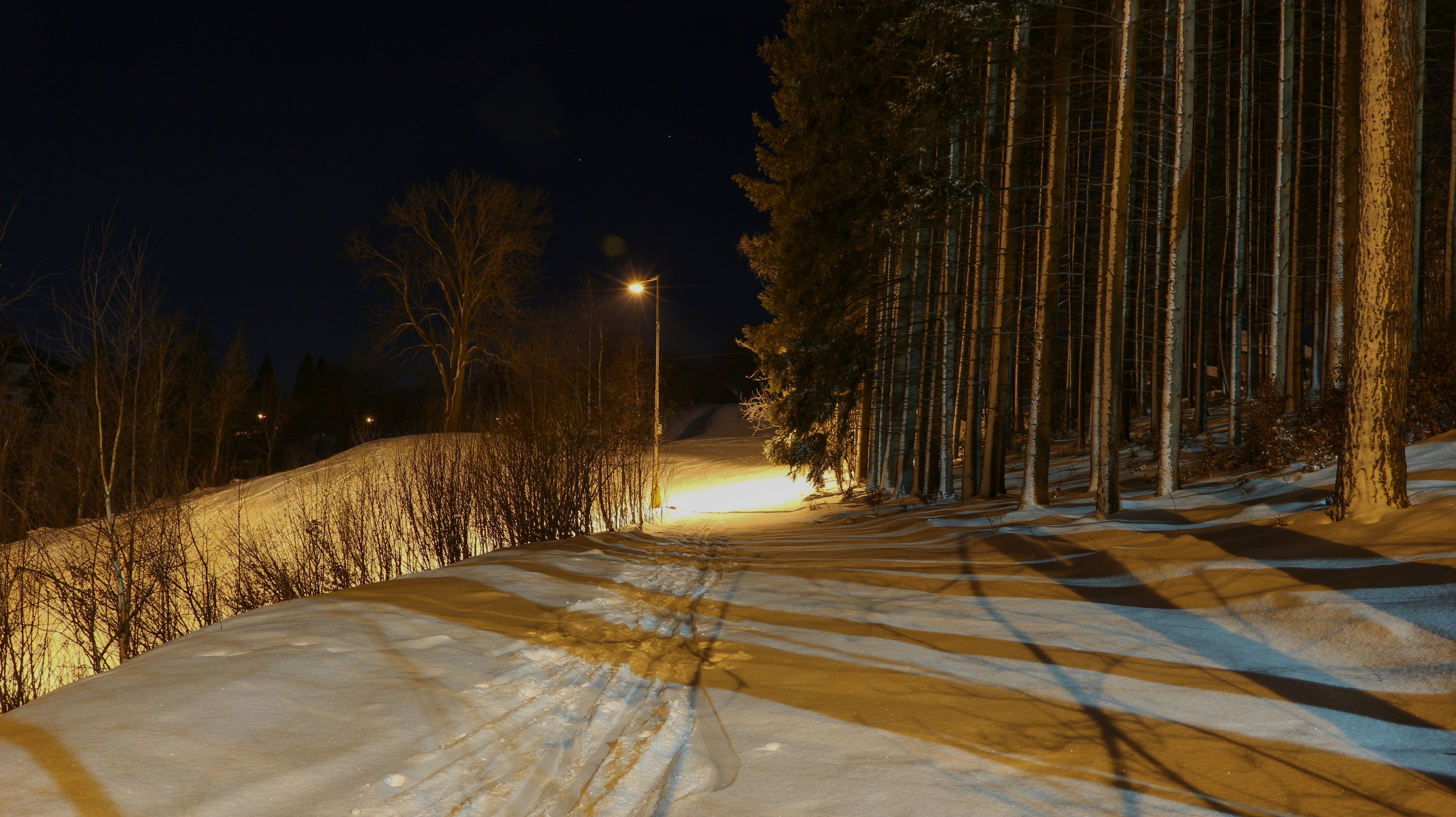 Tělocvičná jednota Sokol Nový Hrádek foto 4