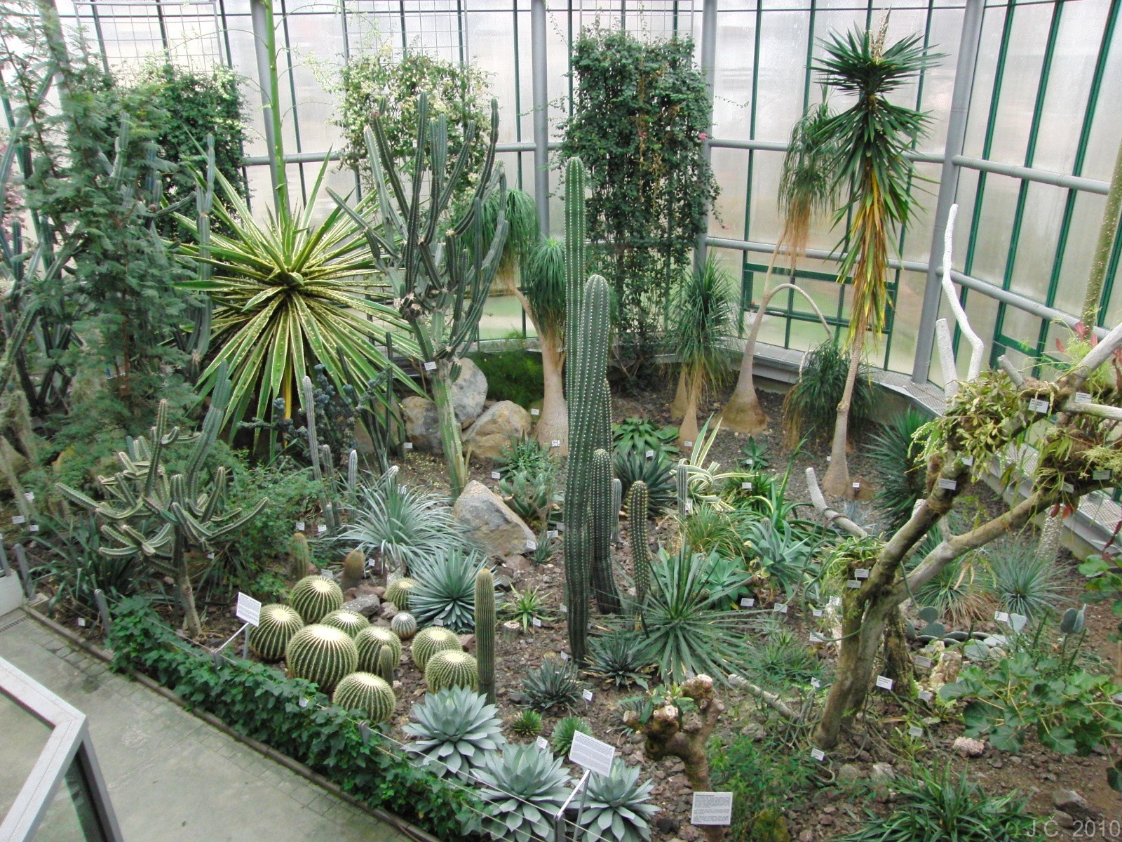 Botanická zahrada Liberec foto 3