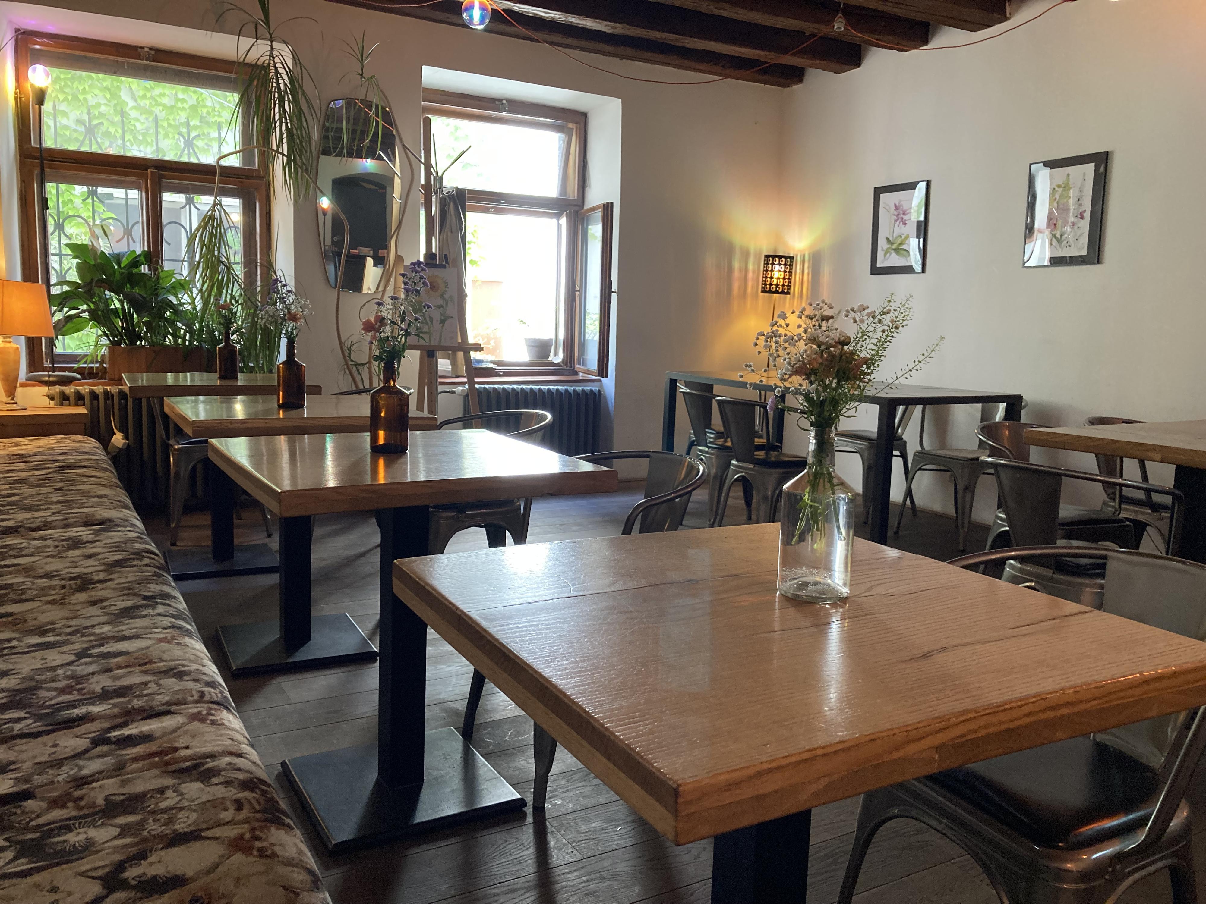 Café Bar Široko foto 1