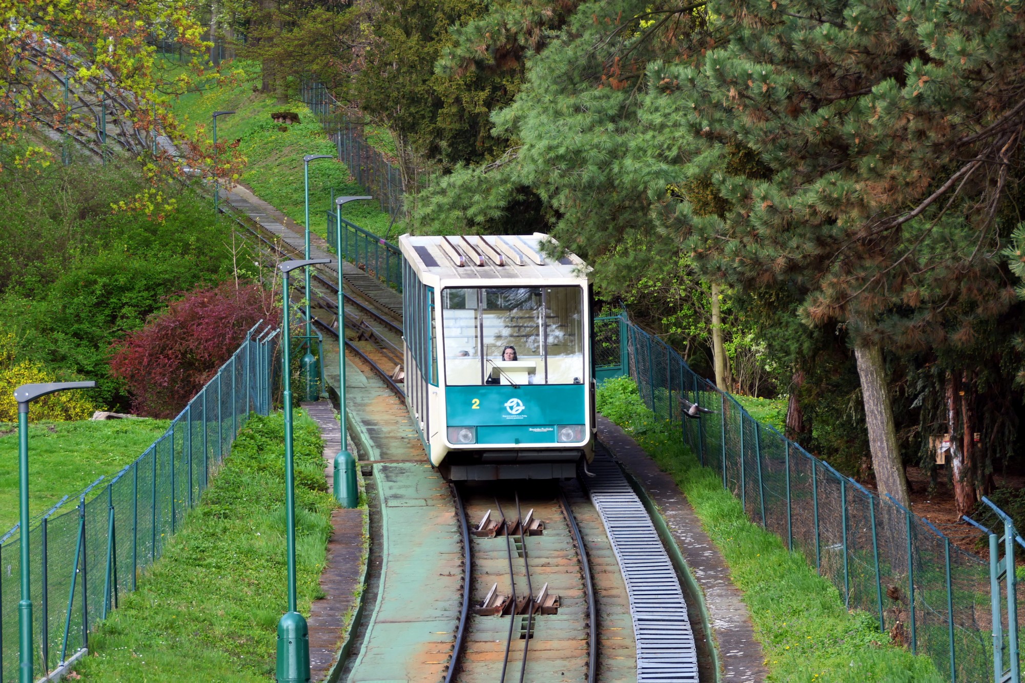 Lanová dráha na Petřín (Dopravní podnik hl. m. Prahy) foto 3