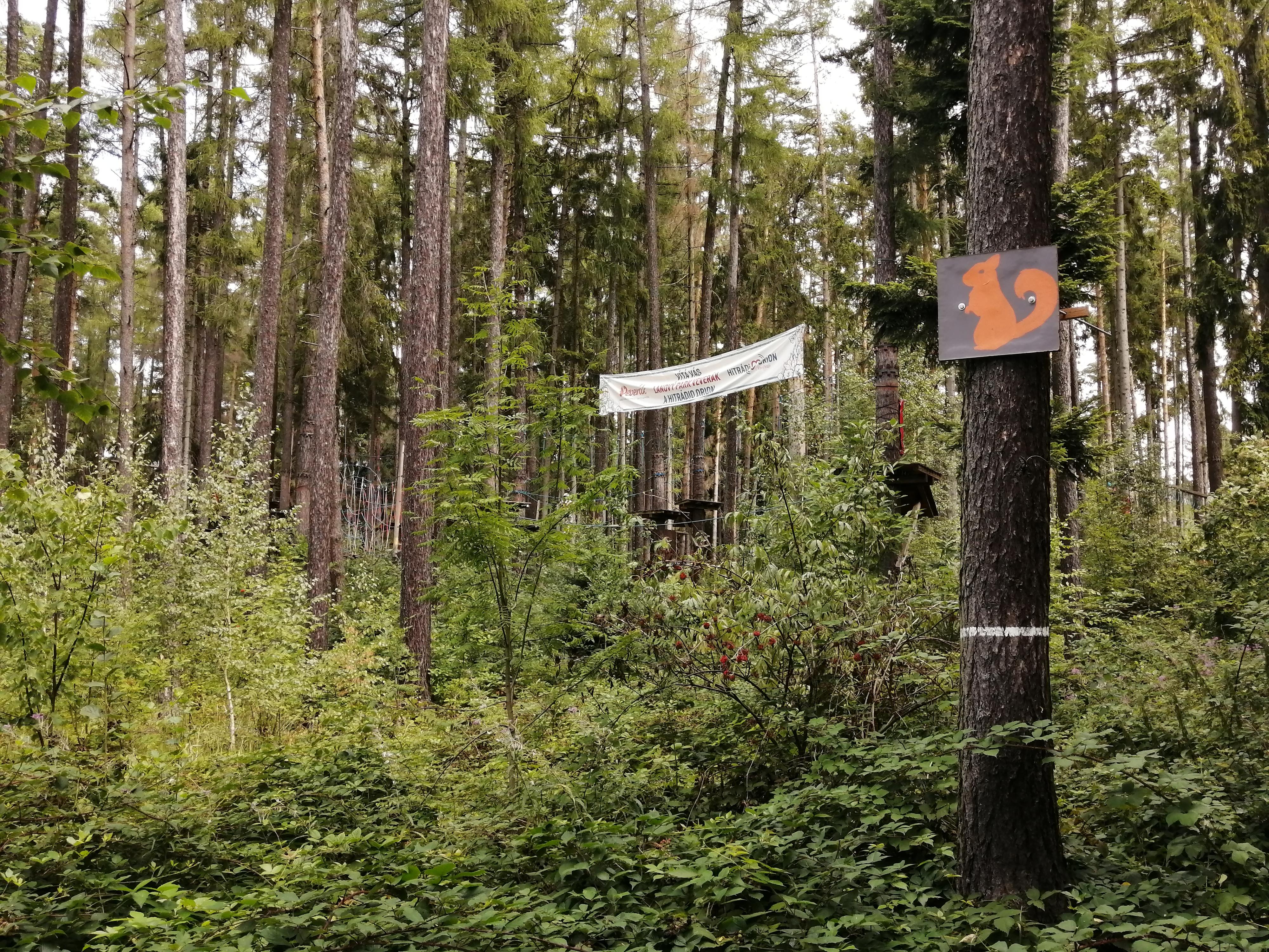 Lanový park Veverák foto 3