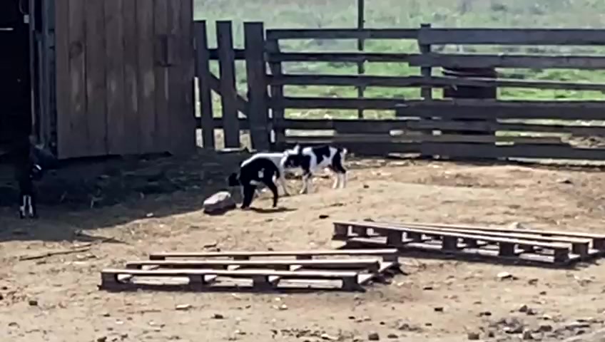 Statek Jinačovice foto 2 (náhled videa)