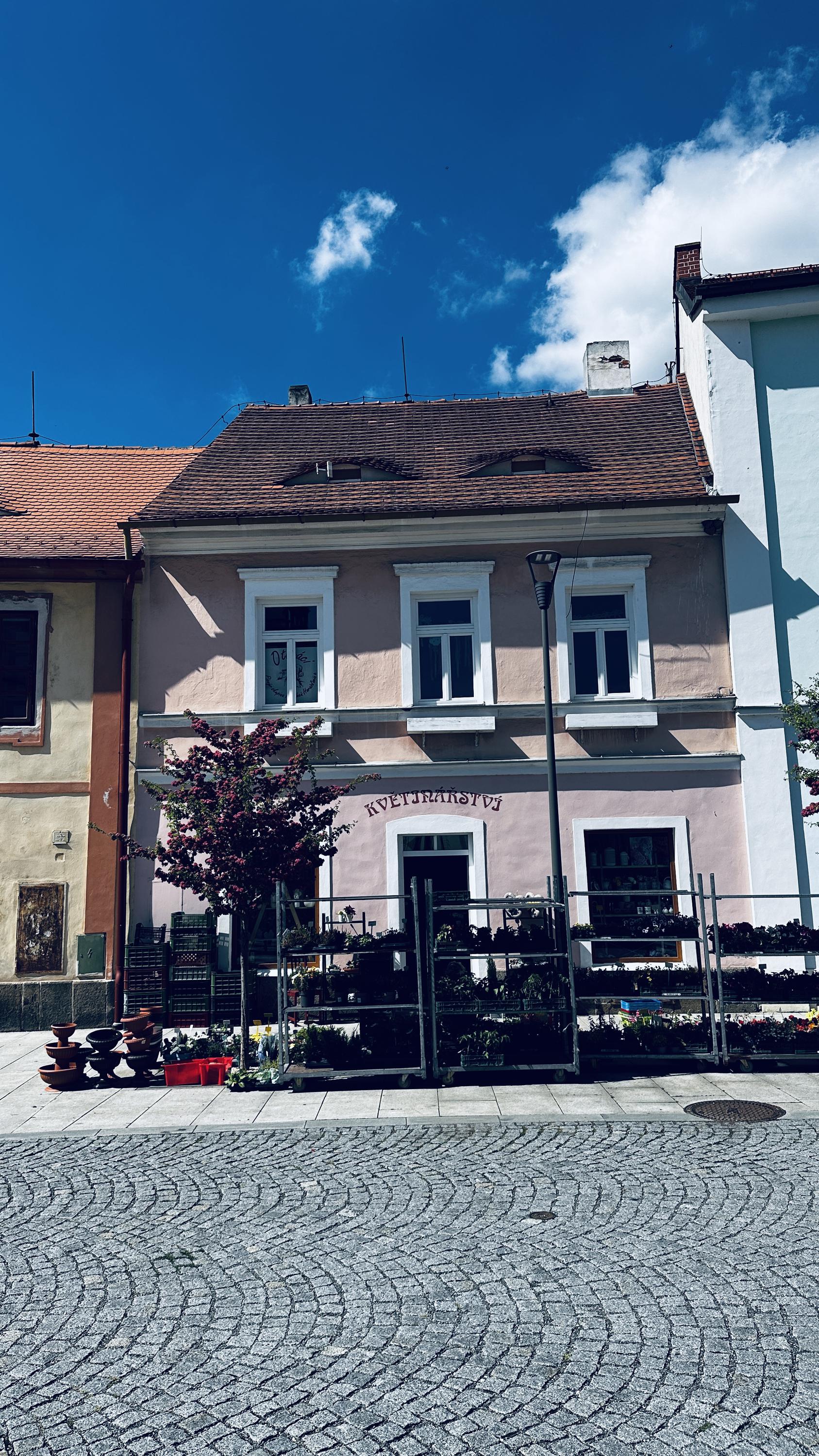 Květinářství VESNA foto 3