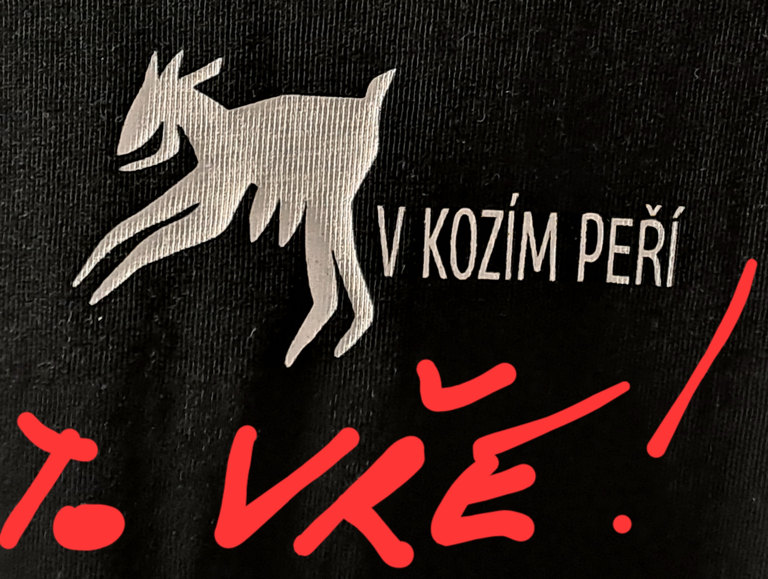 Café bar v Kozím peří foto 3