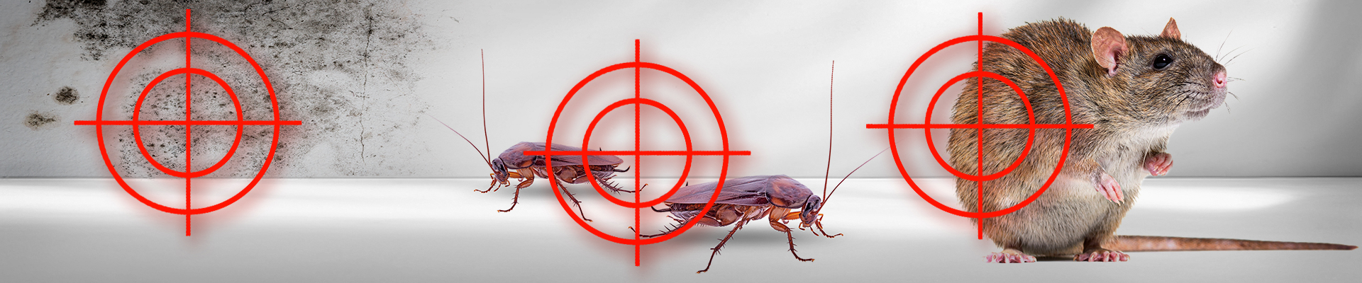 Cover image DDD Raichart, s.r.o.