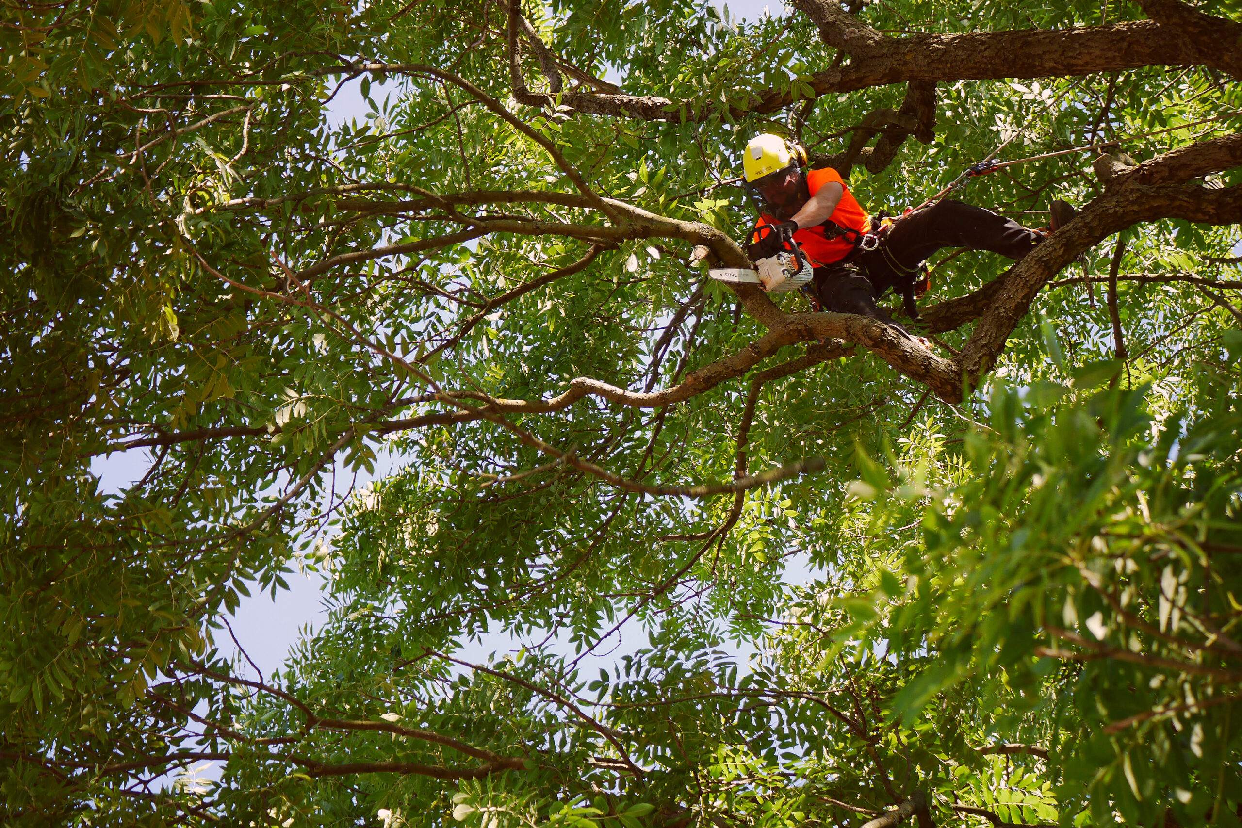 Výškové práce Petr Hartmann