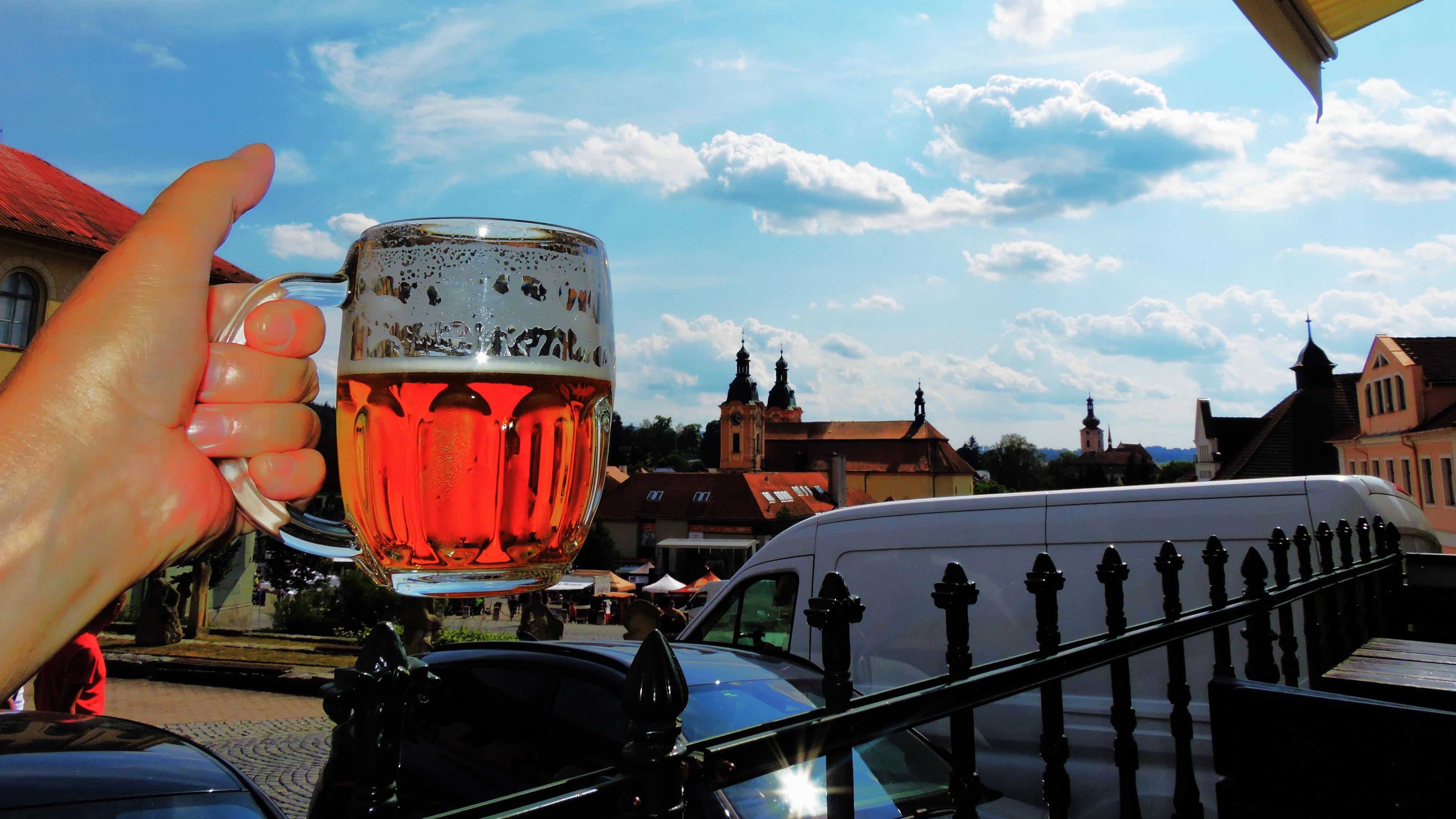 Švejk restaurant U Zeleného stromu foto 5