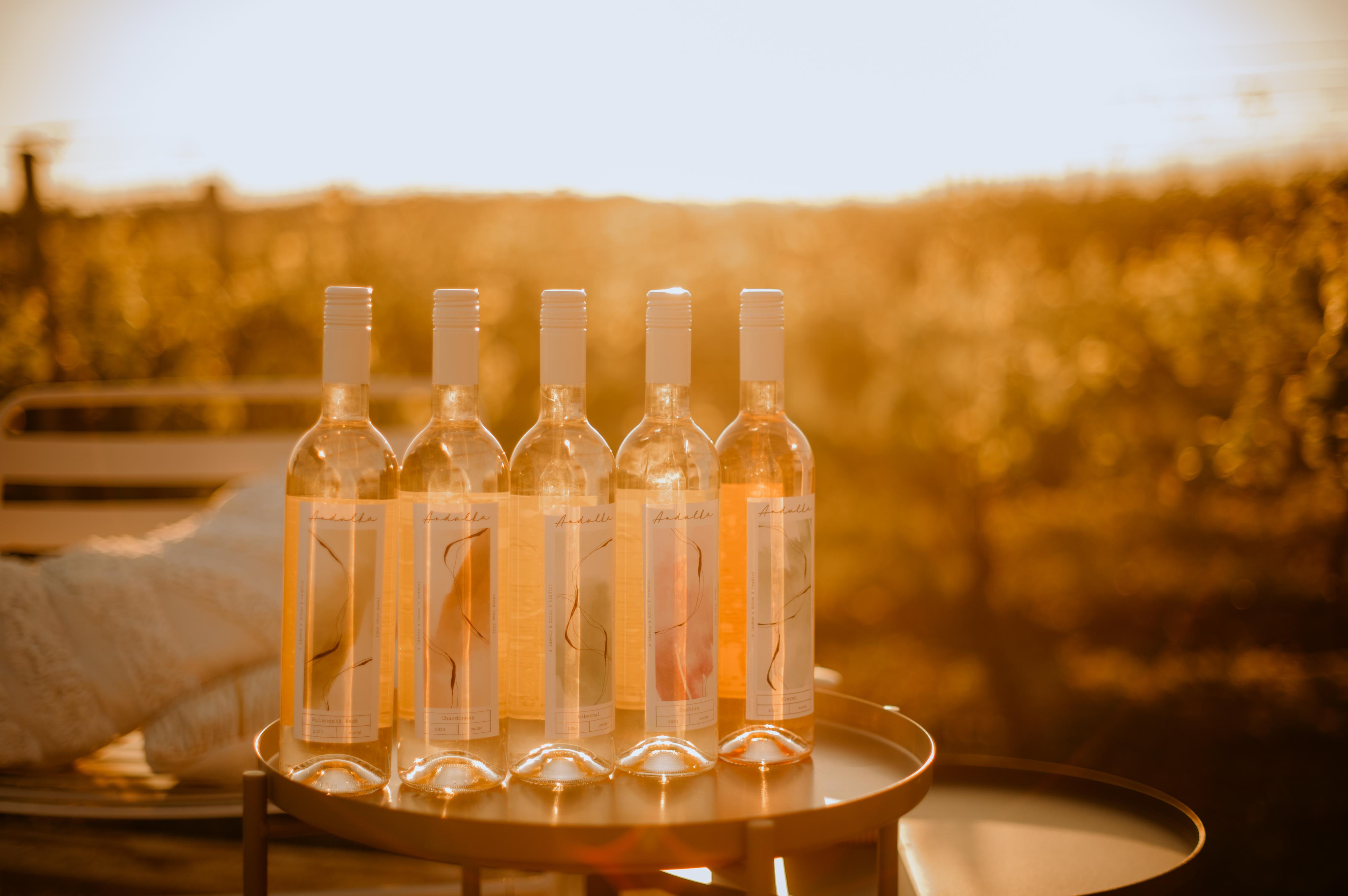 Andulka winery foto 4