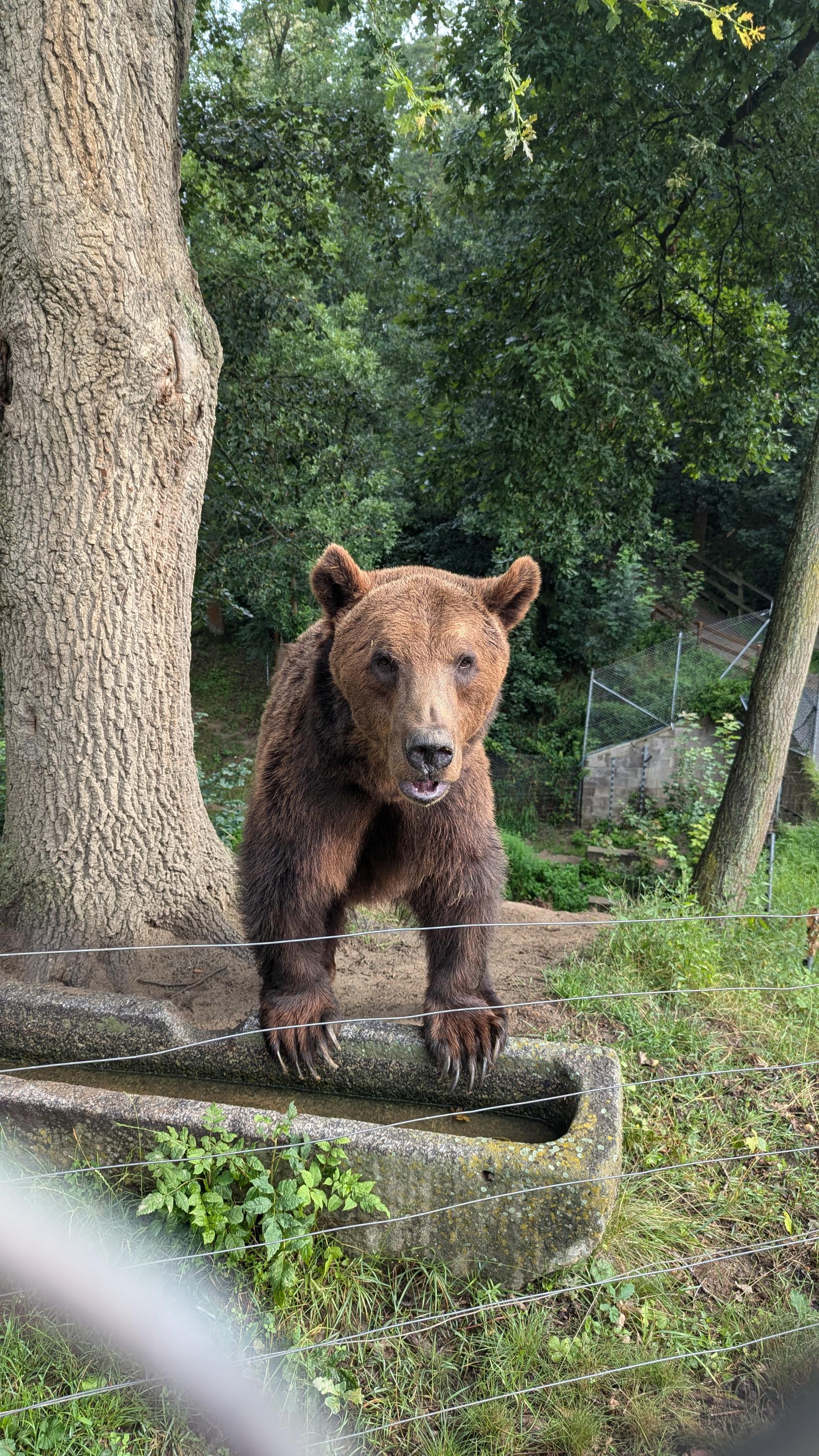 ZOO Tábor foto 3