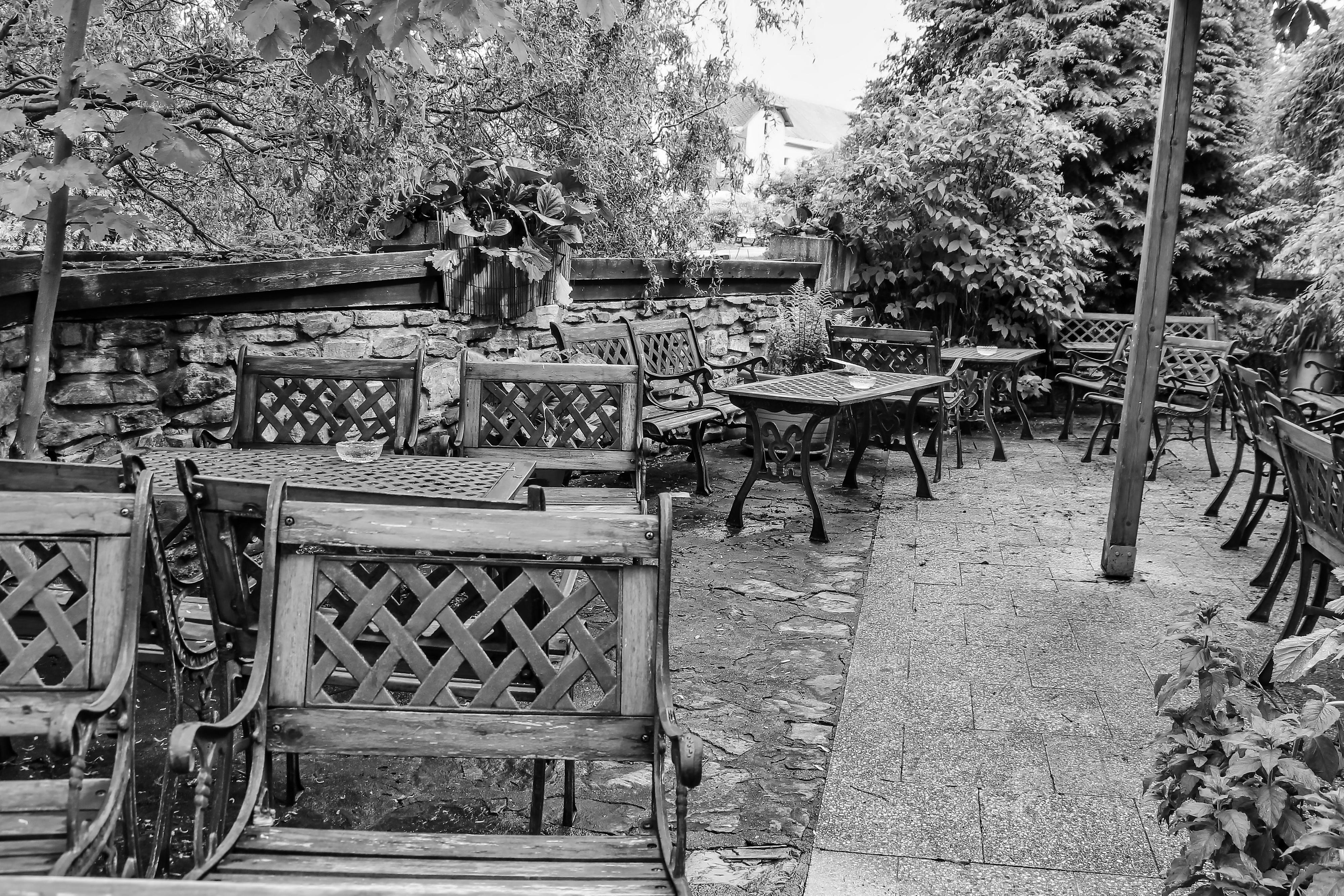 Kavárna a Cukrárna Vanesa foto 5