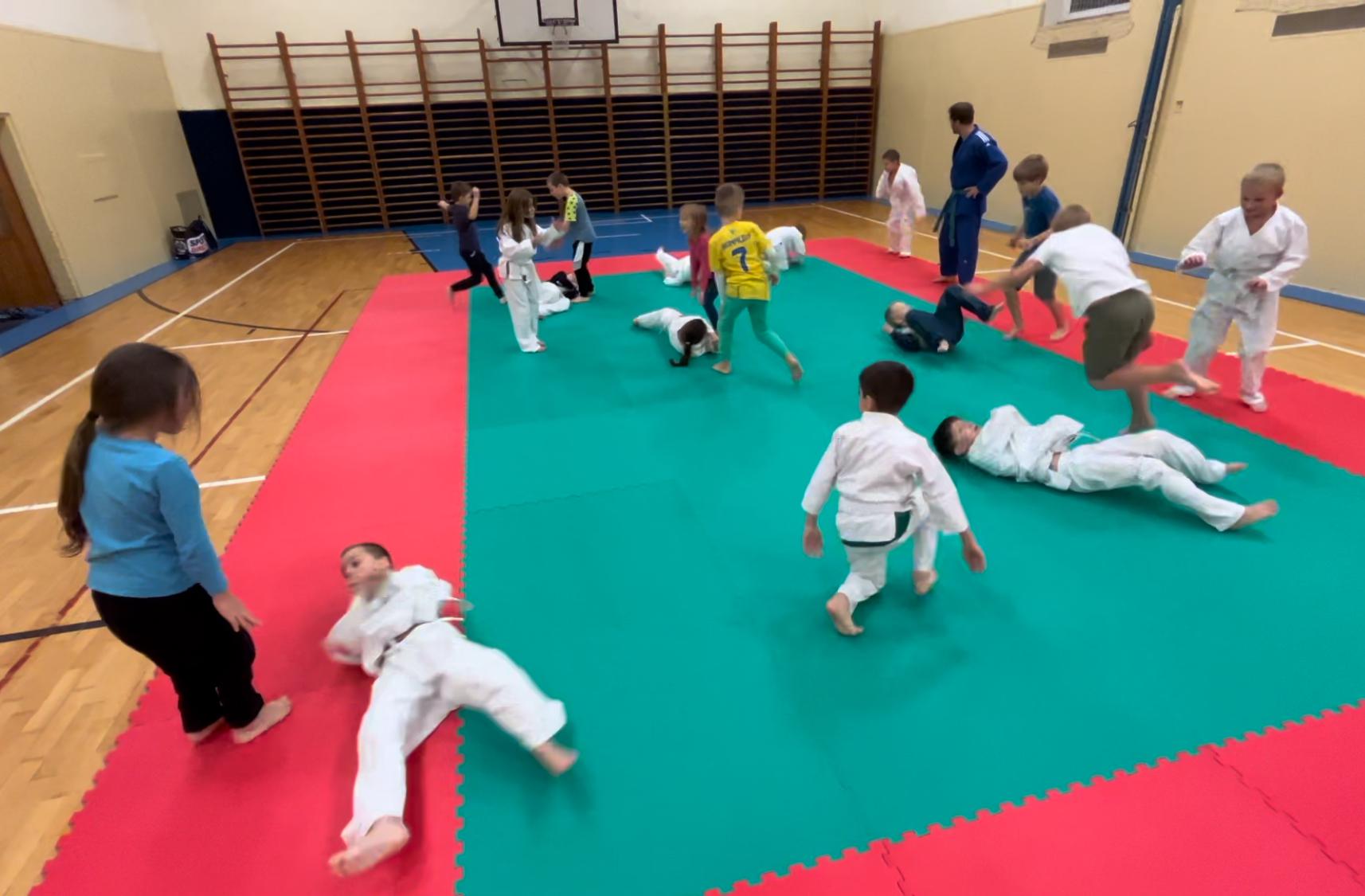 Judo Best Motion foto 4