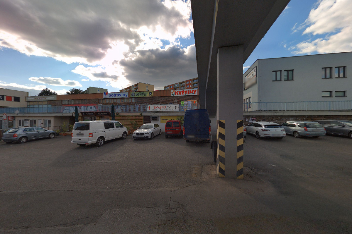 Květiny - Dana Čížková Horáková foto 2