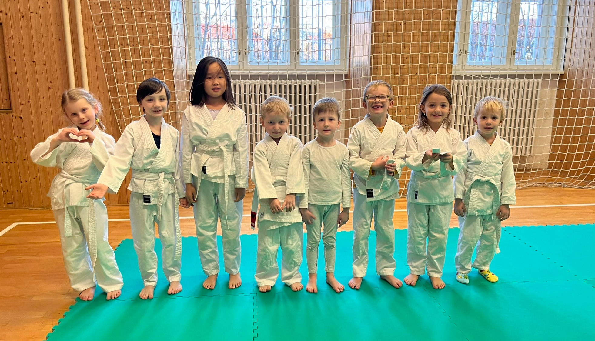 Judo Best Motion foto 4