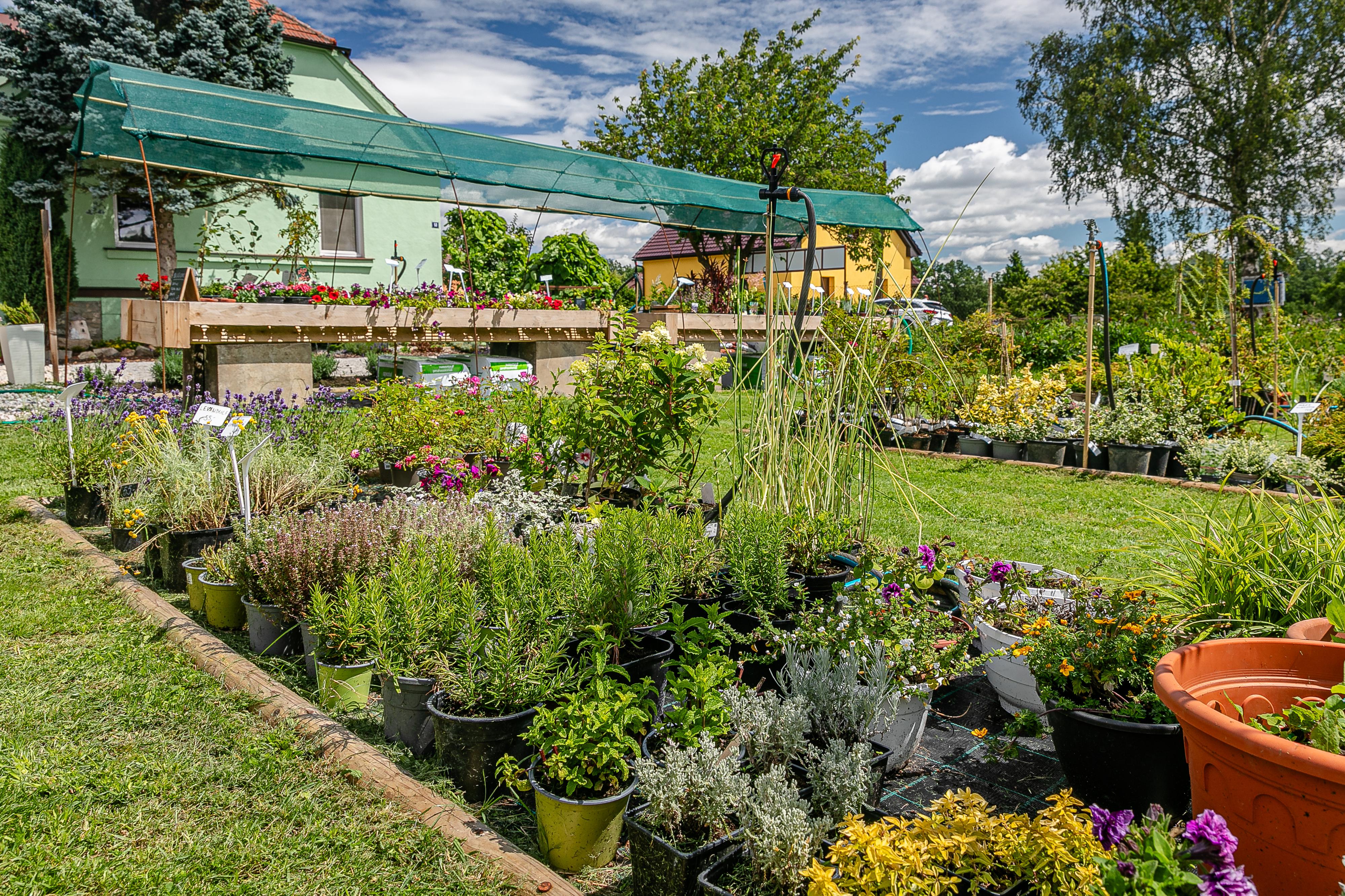 Zahradnictví Tábor – J.Reiter foto 4