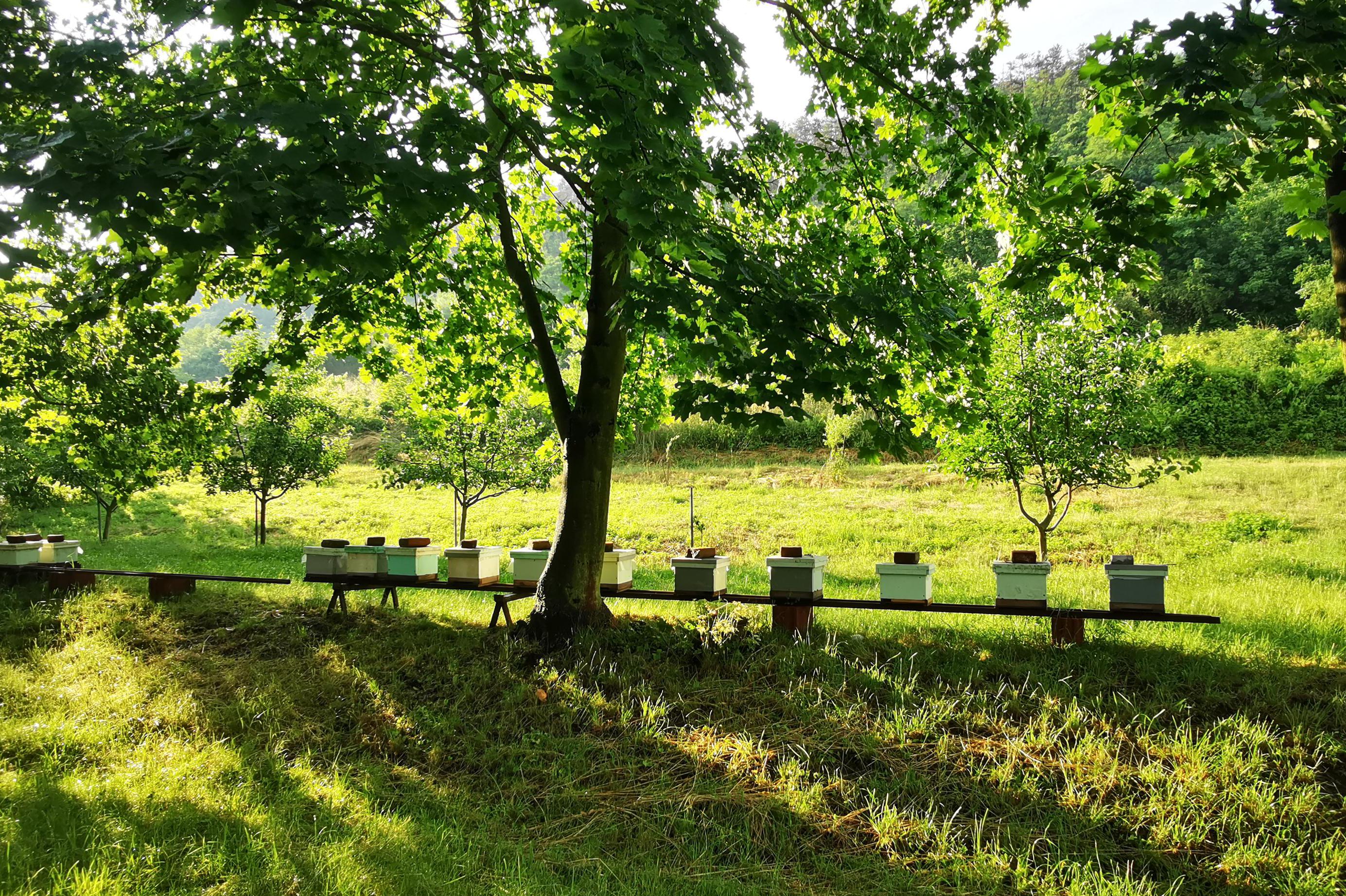 Včelín Výzkumný ústav včelařský
