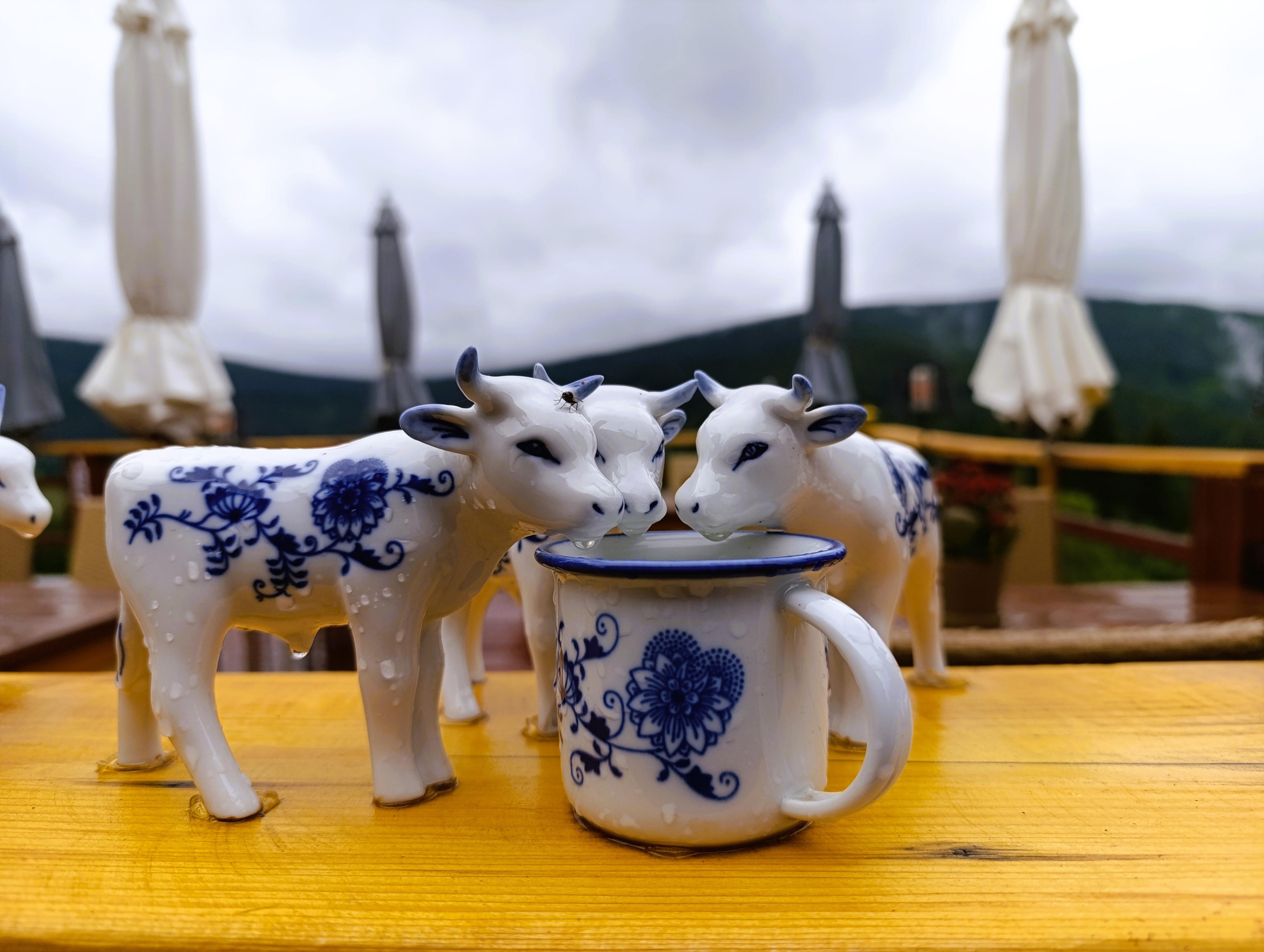 Horský hotel Hromovka foto 4