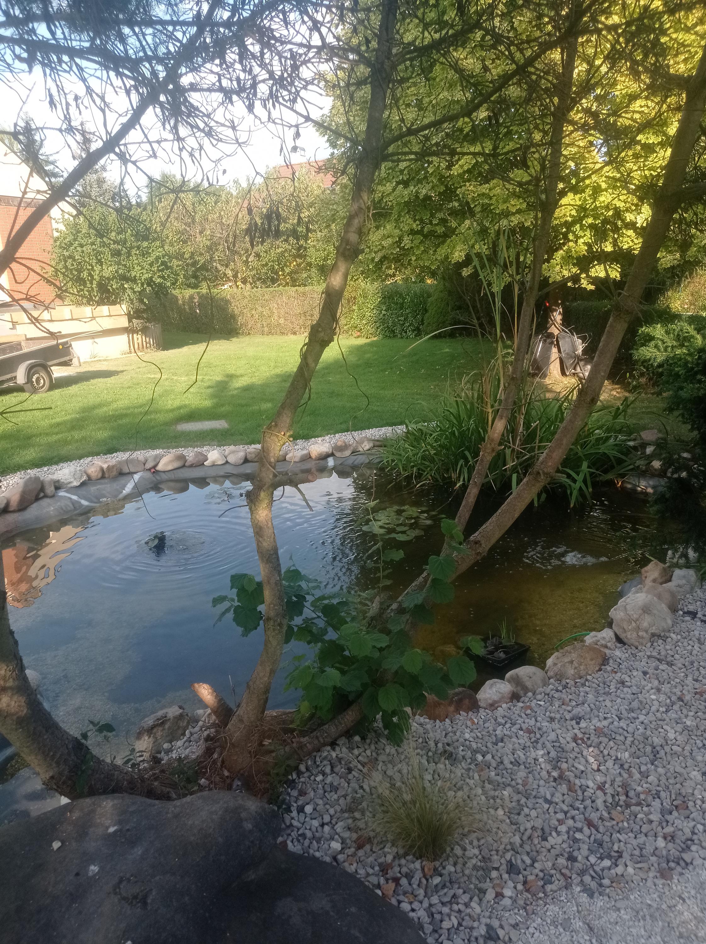 Trávníkář-Západ.cz foto 6