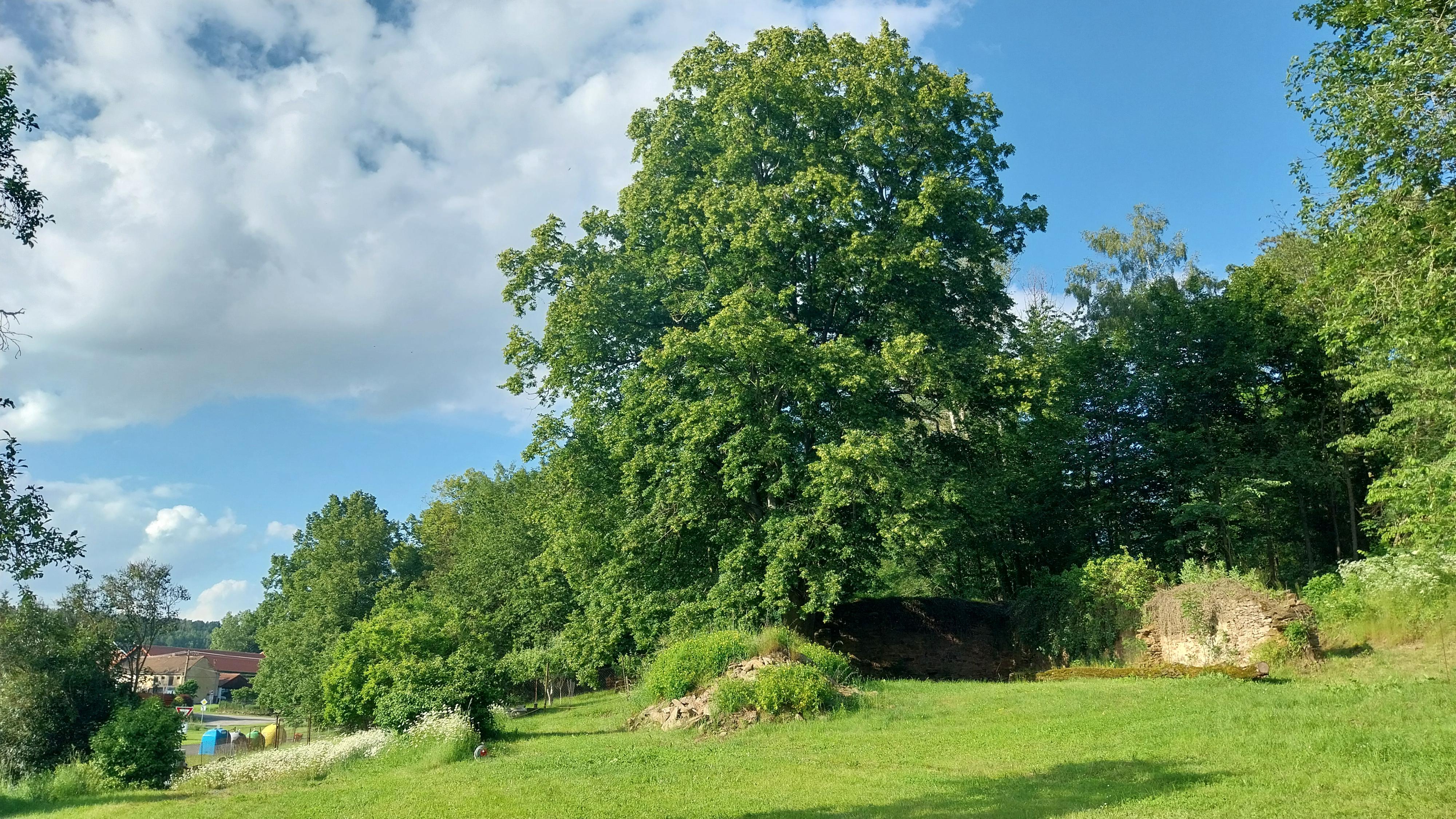 Camp Chřebřany foto 2
