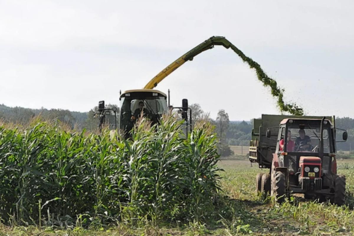 Farma Dřeveš, s.r.o.