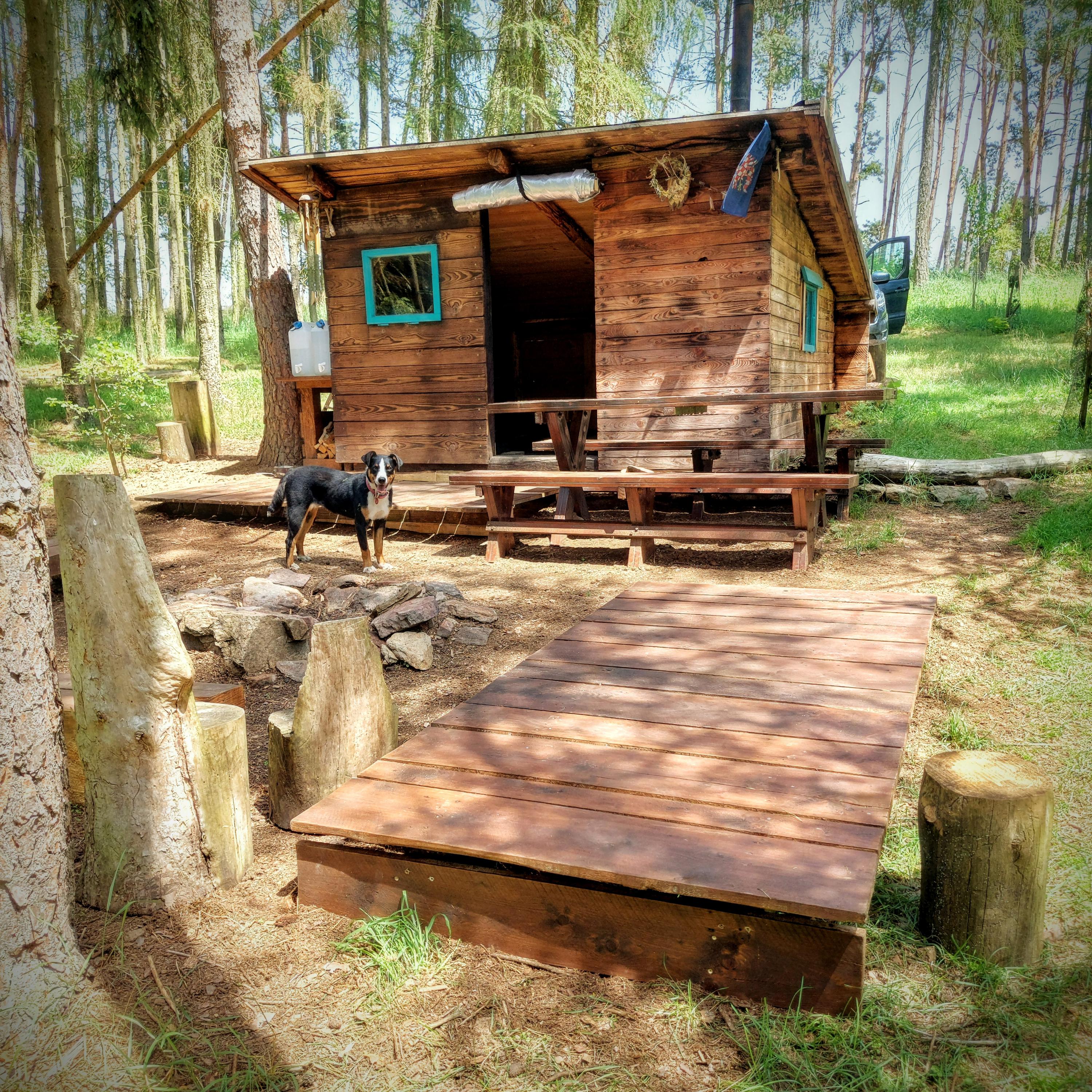 BOUDaBUDKA.cz - soukromé lesní tábořiště foto 2