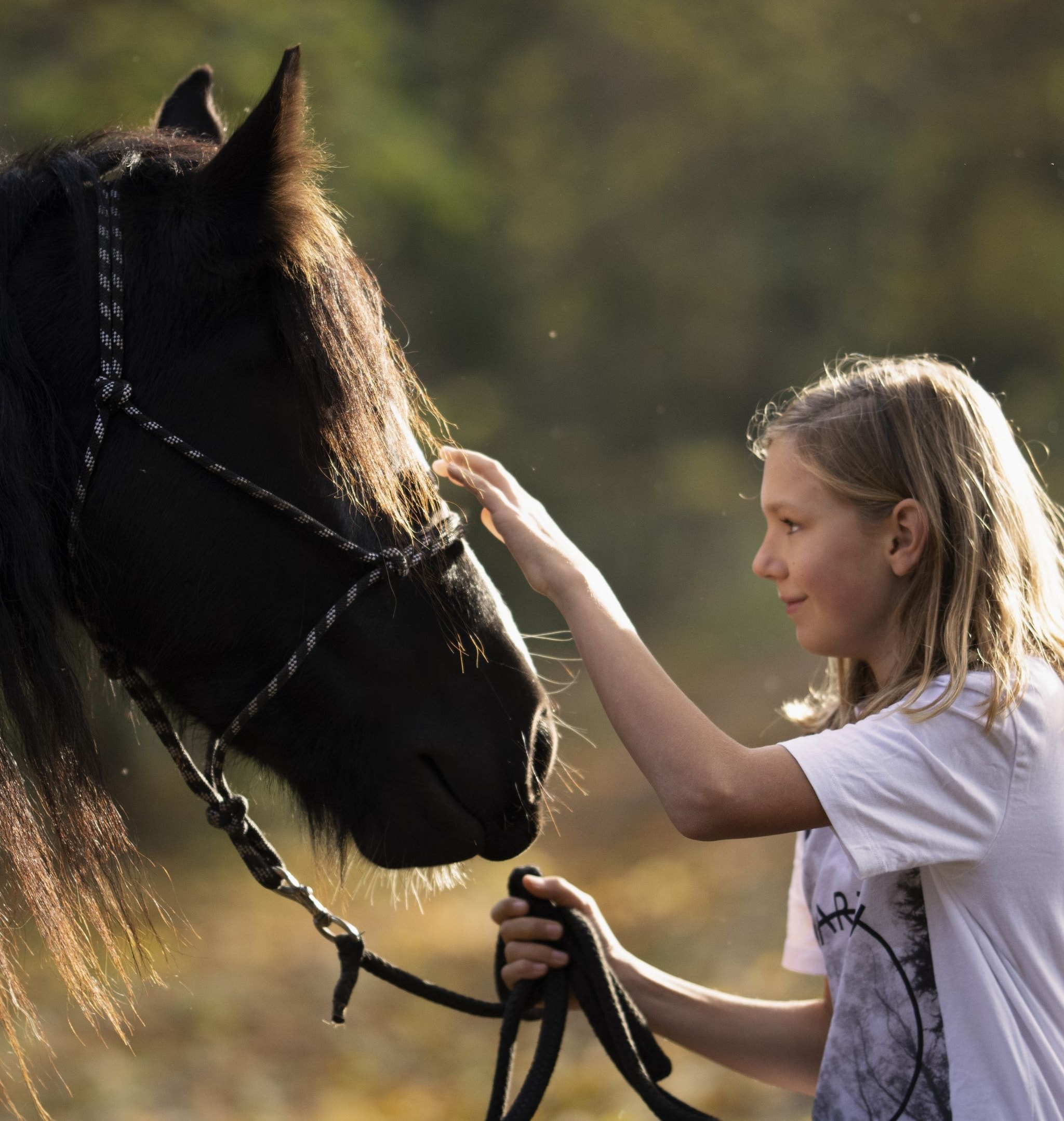 Horse Valley z.s. - jezdectví a lesní klub foto 2