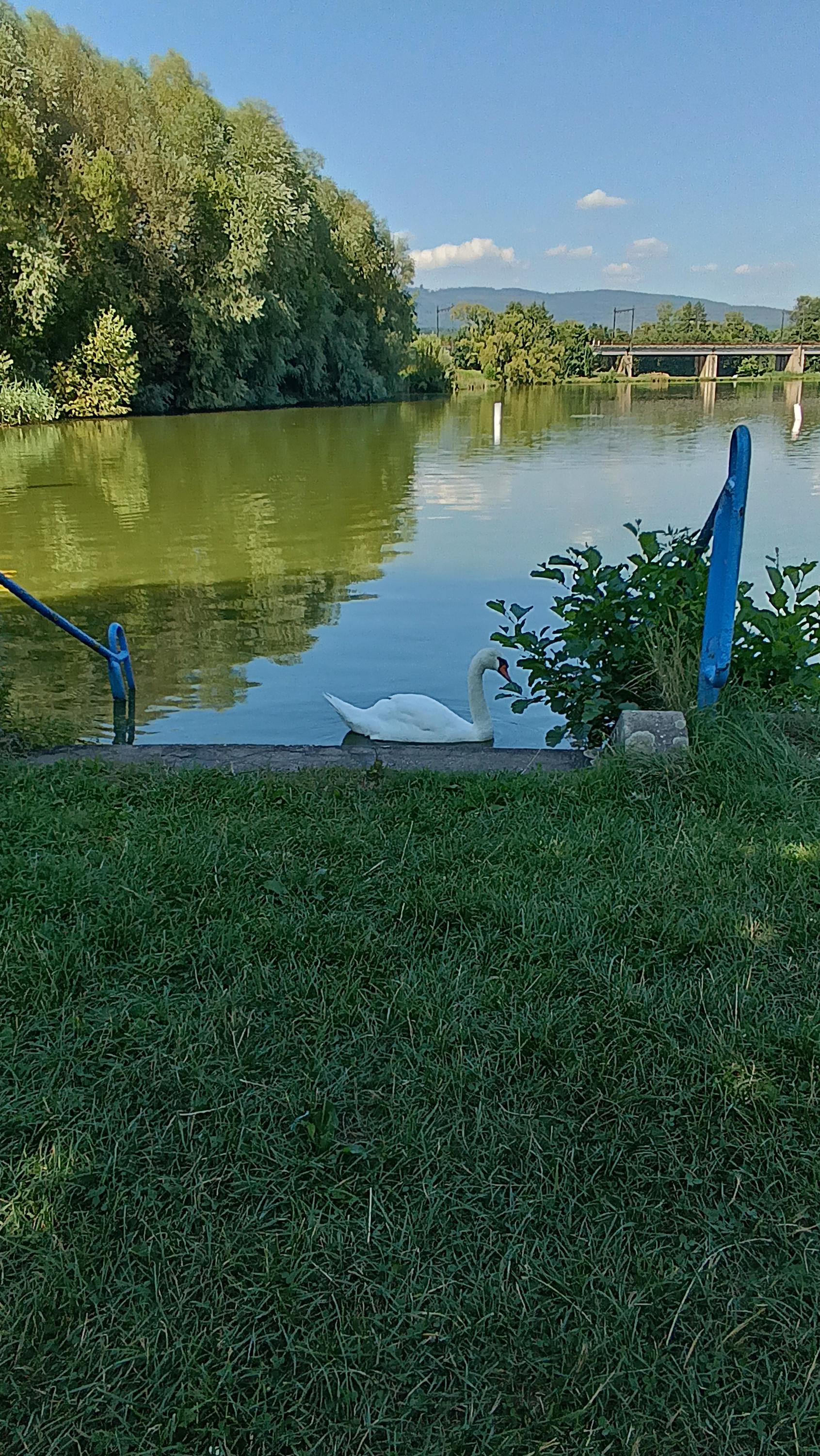 Chatová osada a autokemp Chabařovice foto 2