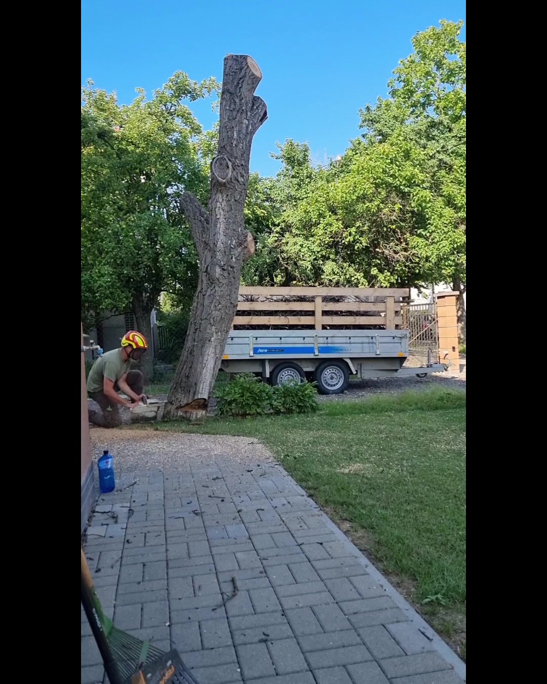 OKzeleň foto 2 (náhled videa)