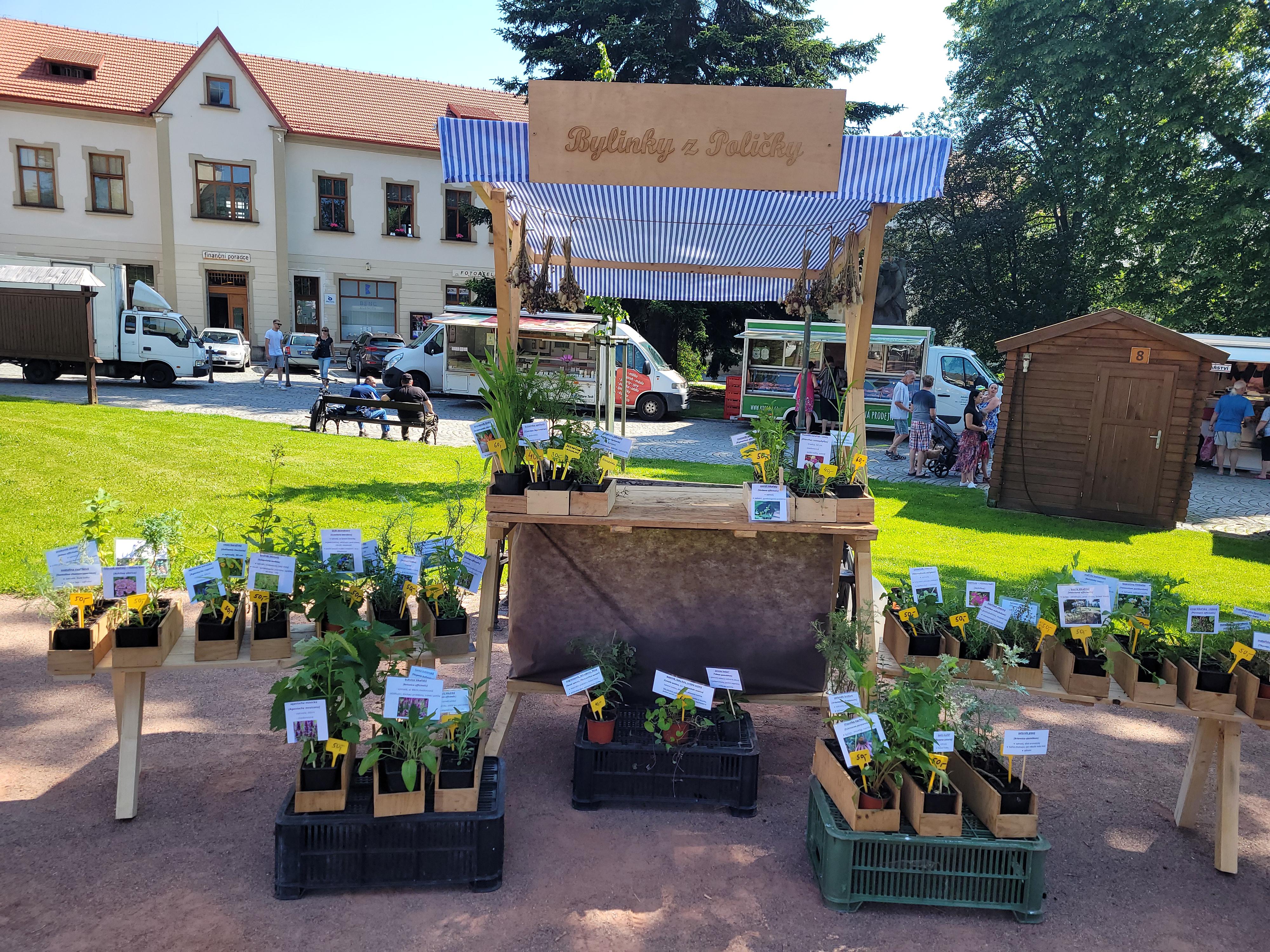 Svatební kytice a Bylinky Martina Jirušová foto 4