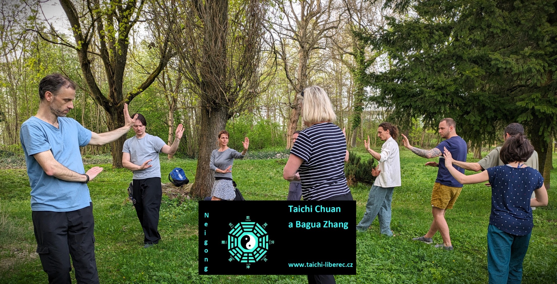 Nei Gong - Taichi Chuan a Bagua Zhang foto 2