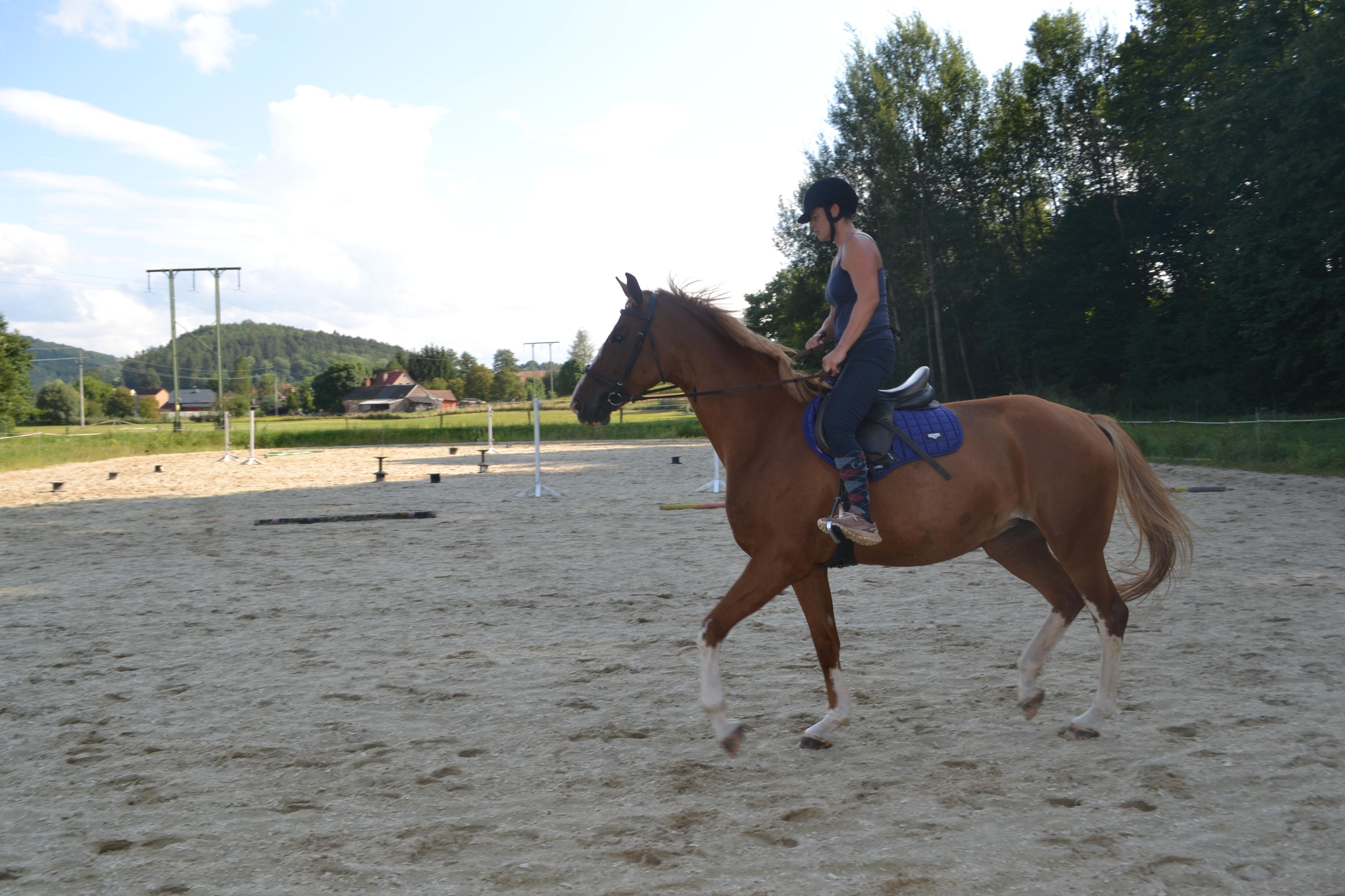 Jezdecký klub Útěchov