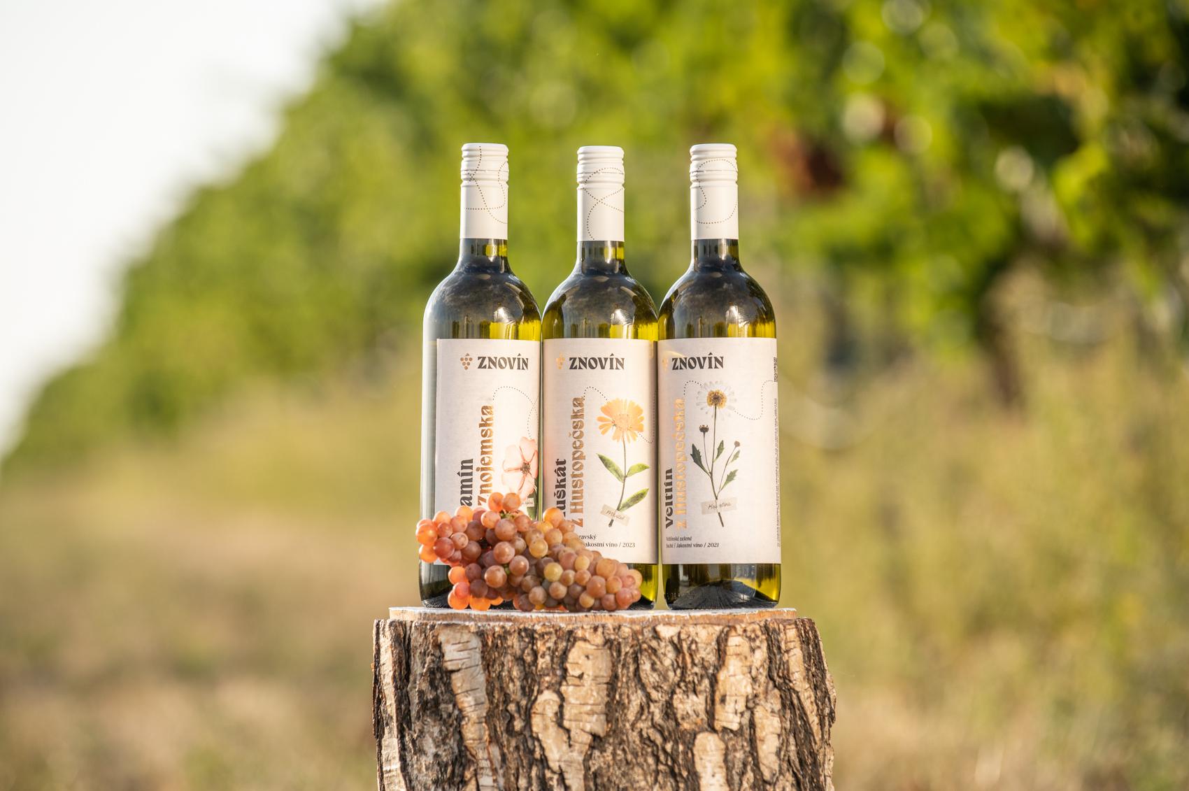 ZNOVÍN ZNOJMO, a.s.