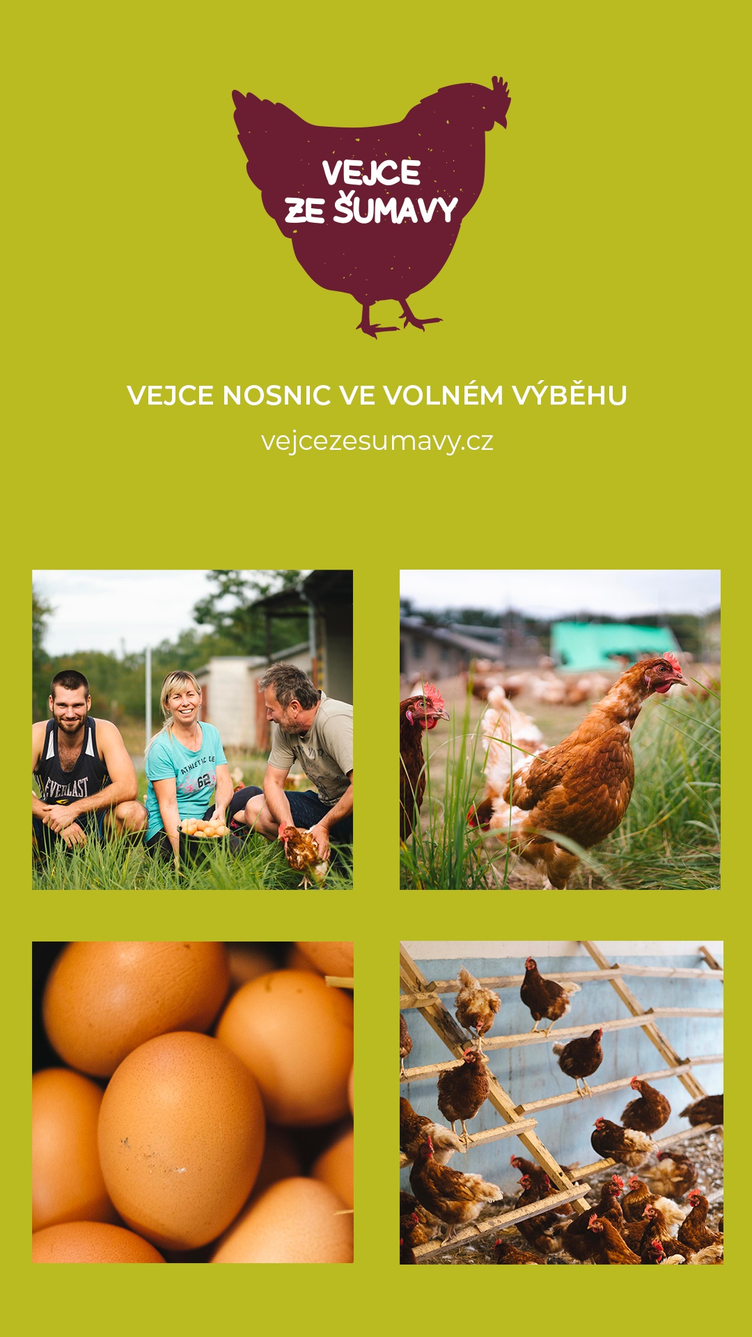 VEJCE ZE ŠUMAVY foto 3