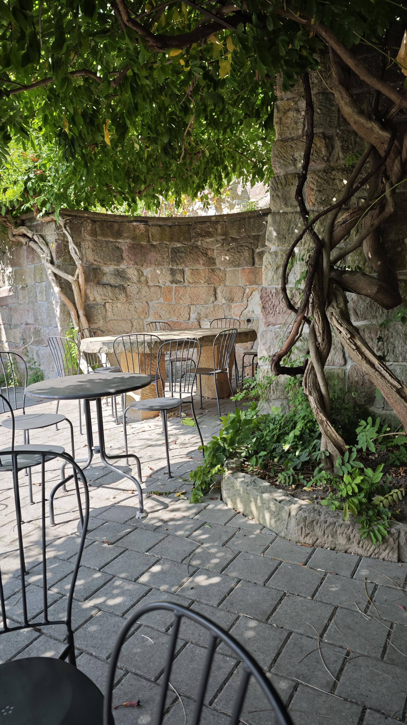 Kafe Pod Vinicí foto 6