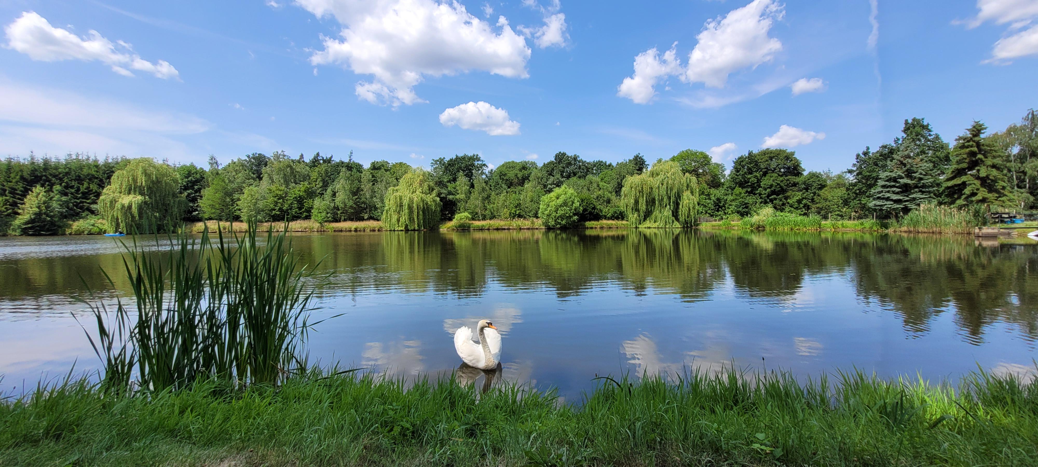 Ubytování Rybník Josef foto 1