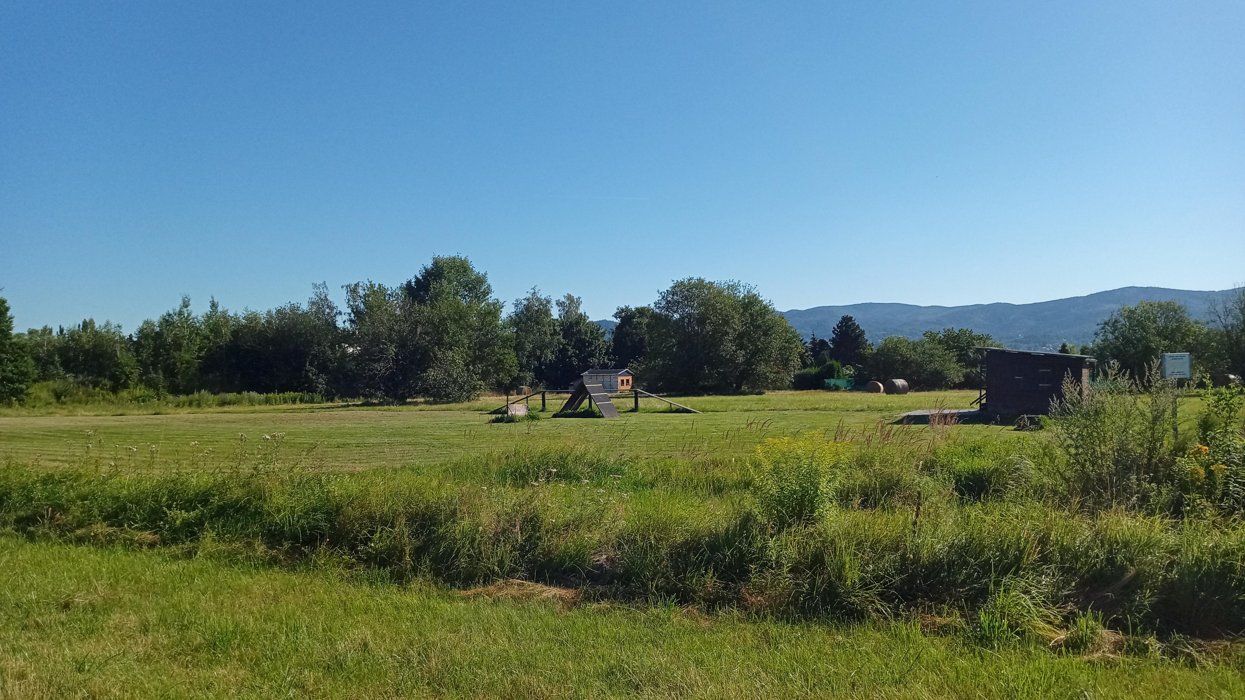 Psí škola VÁŠ PES Ludmila Nosálková foto 3