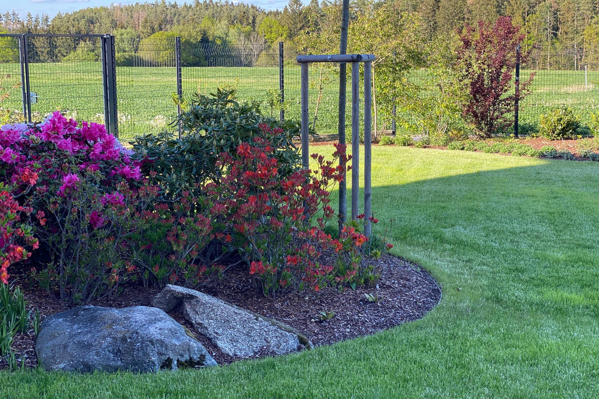 Azeleň s.r.o. - zeleň od A do Z