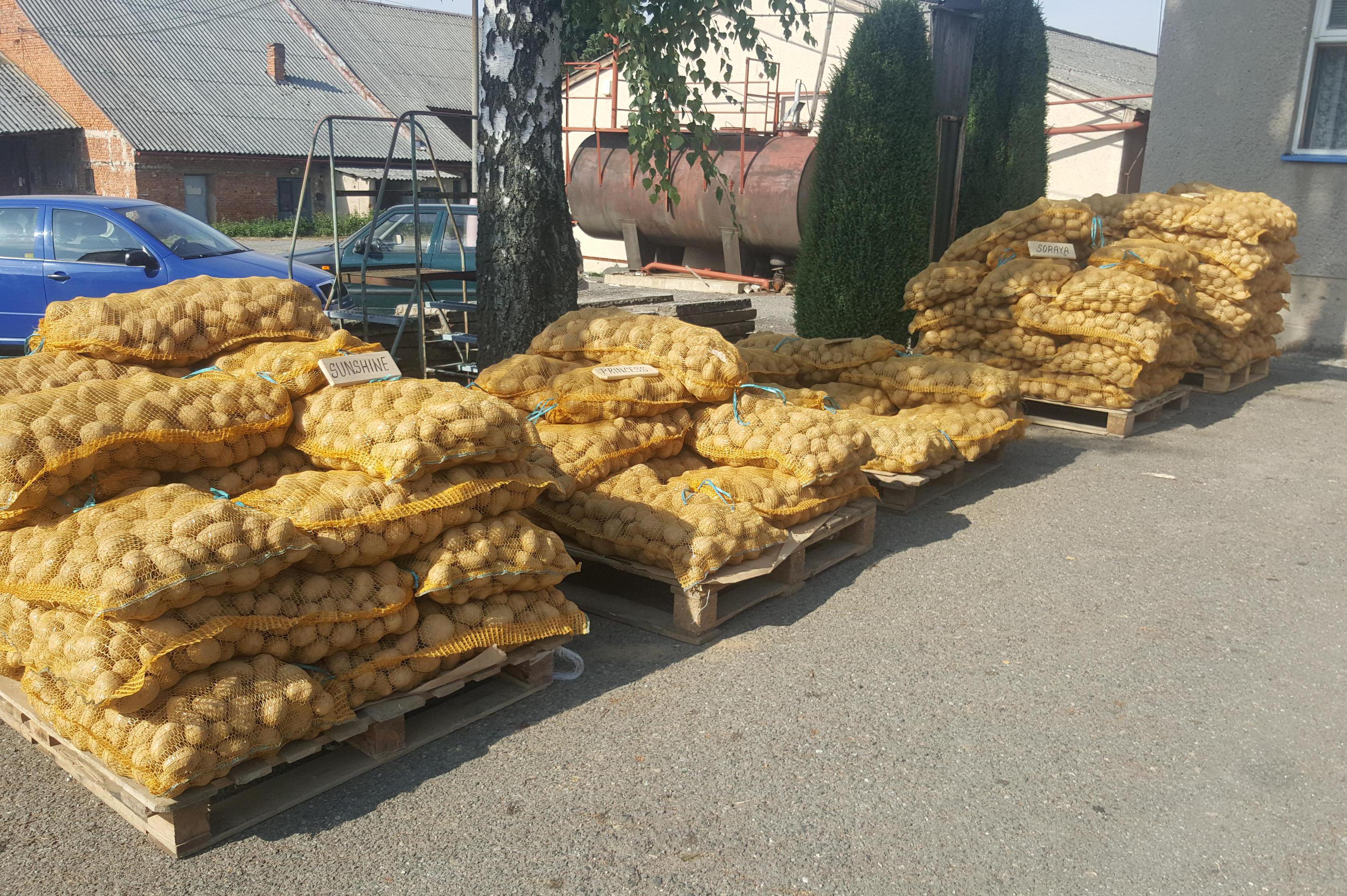 ZD Sloupnice - bramborárna