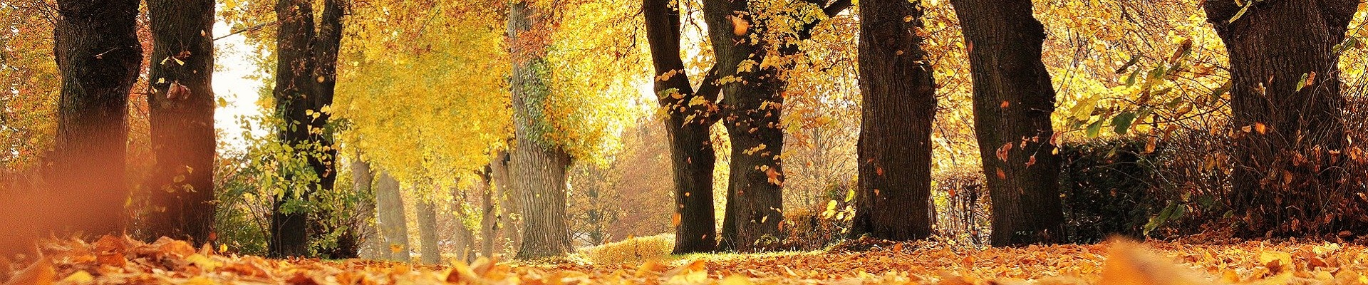 Úvodní obrázek Pohřební služba Lysá nad Labem