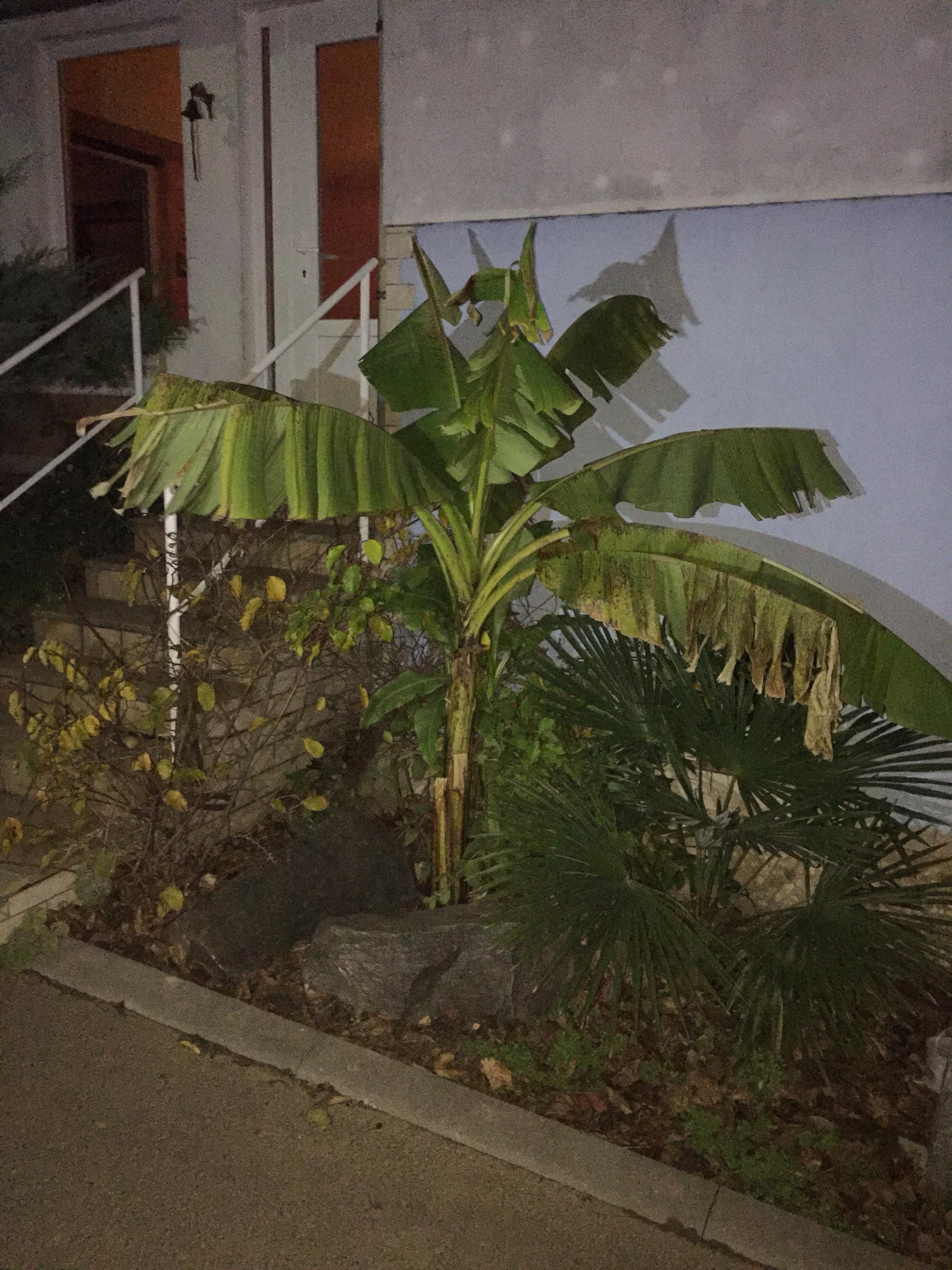 Libor Famfrla- vinař foto 4