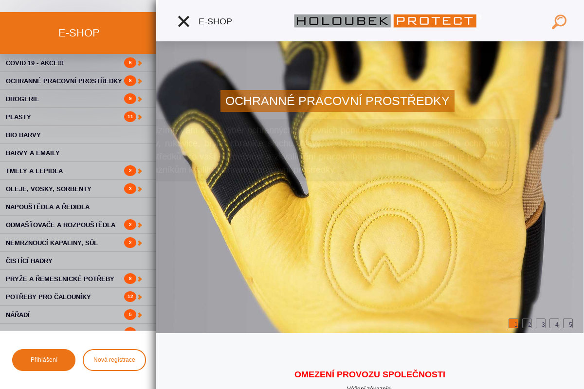 HOLOUBEK PROTECT a.s.