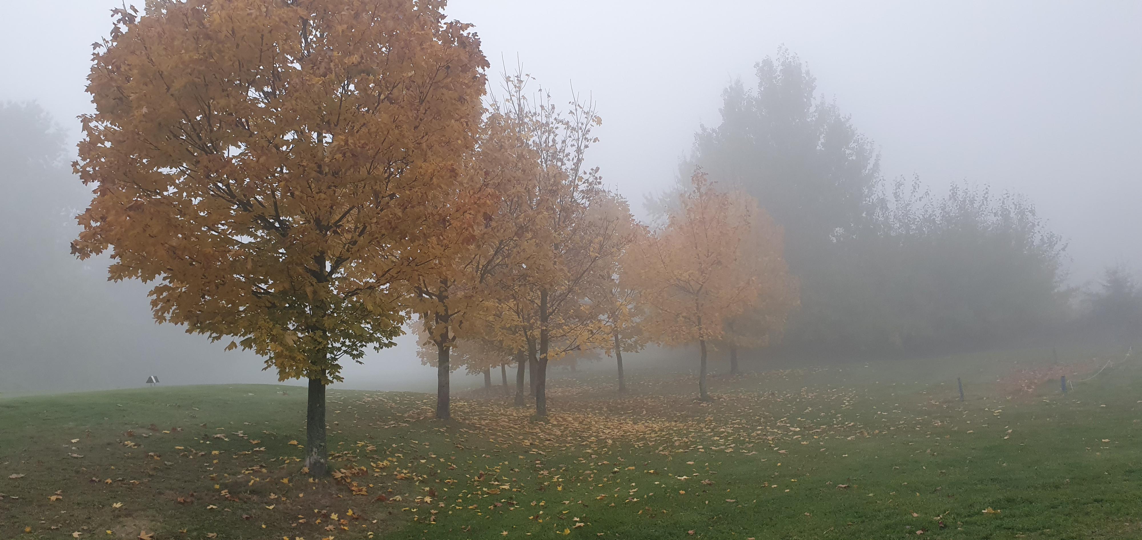 Golf Resort Olomouc foto 6