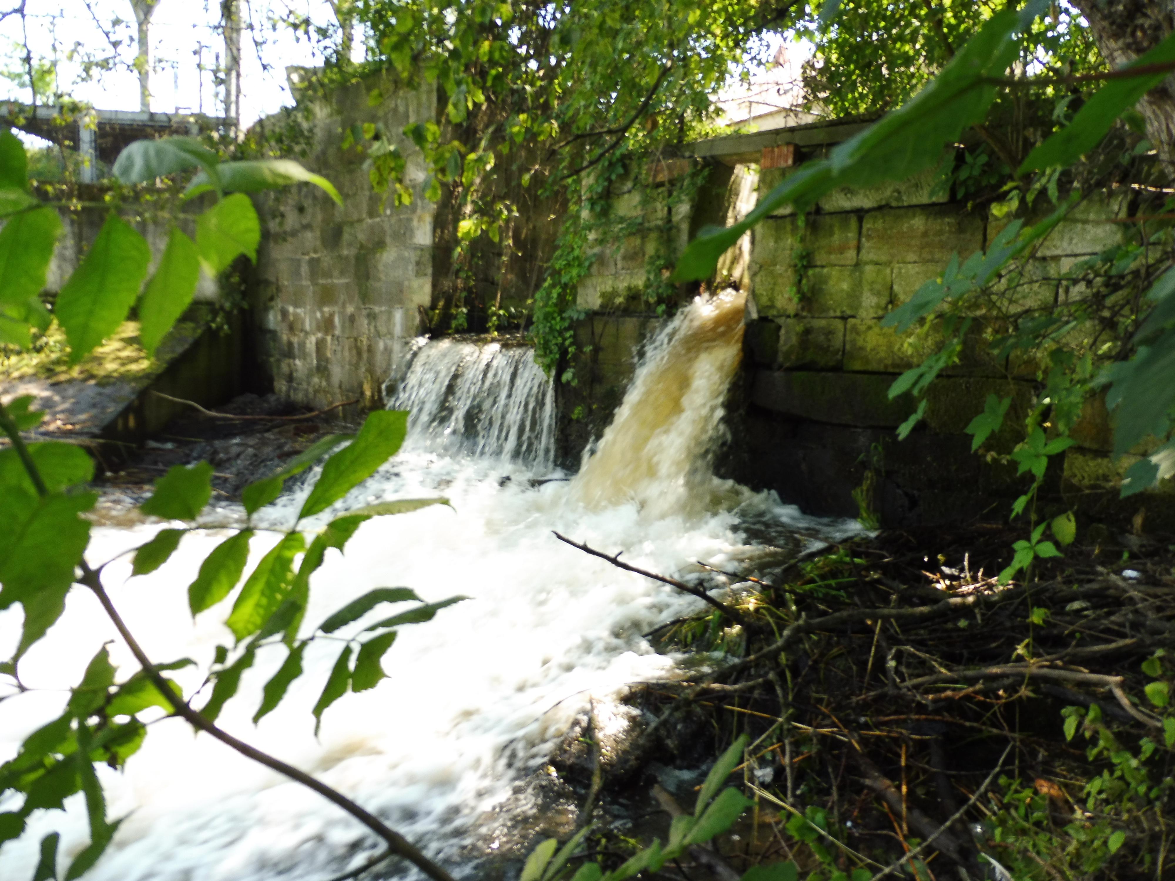 Mlýn Čelákovice, spol. s r.o. foto 2