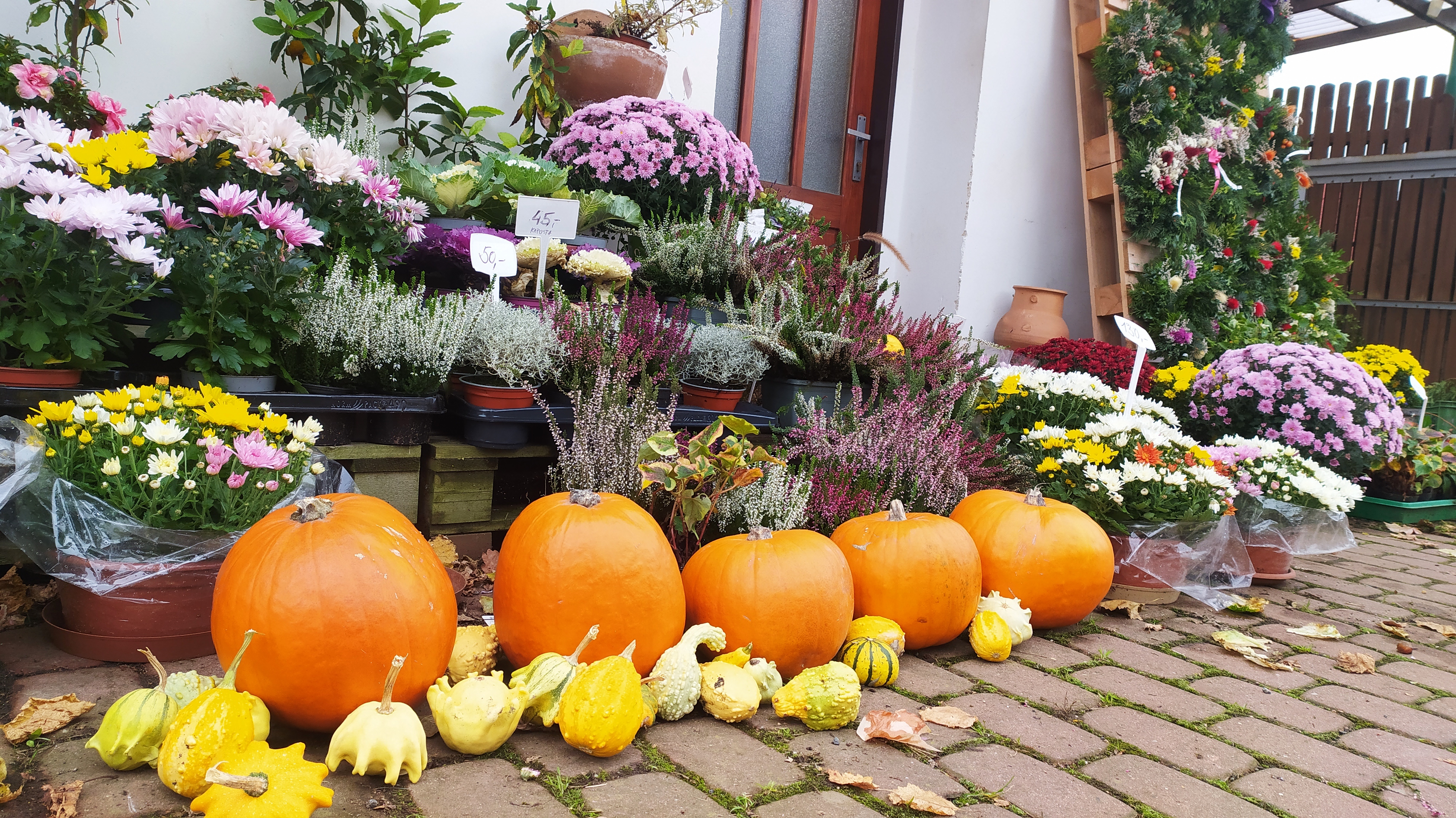 Zahradnictví Senohraby foto 3