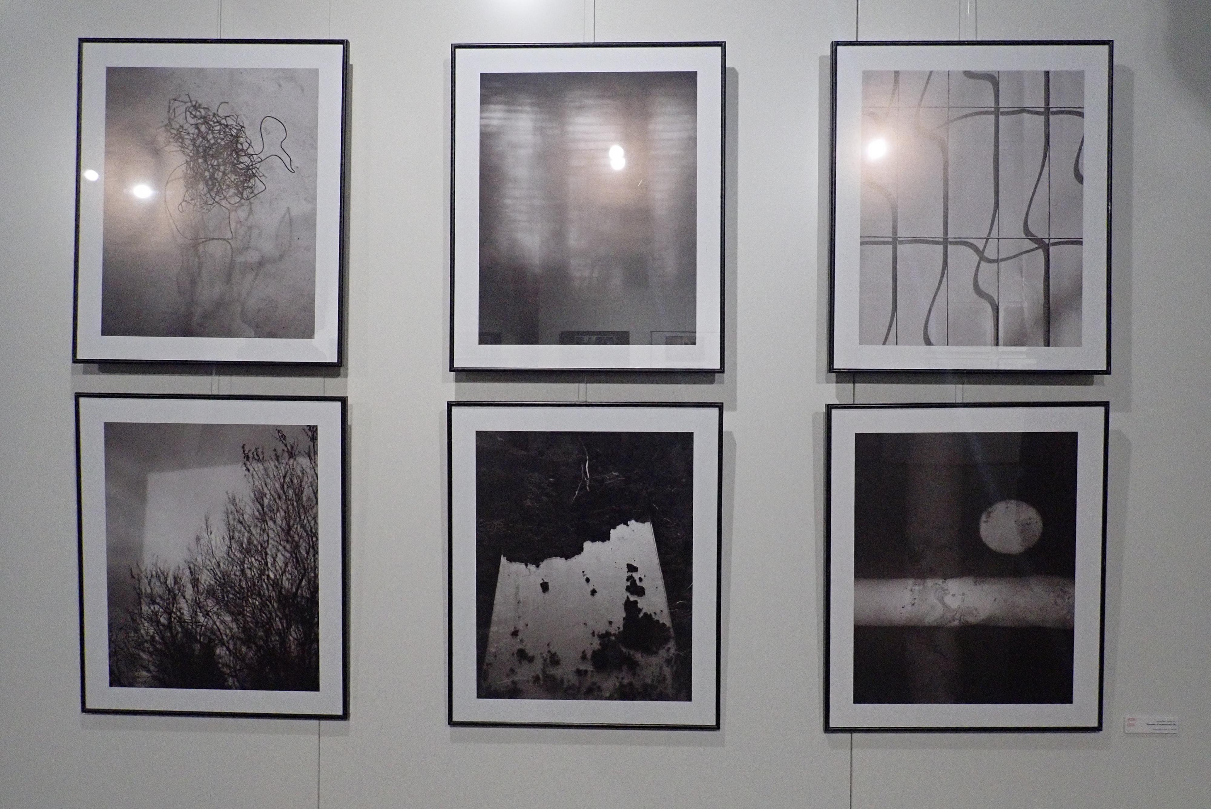 Galerie 4 - galerie fotografie foto 4