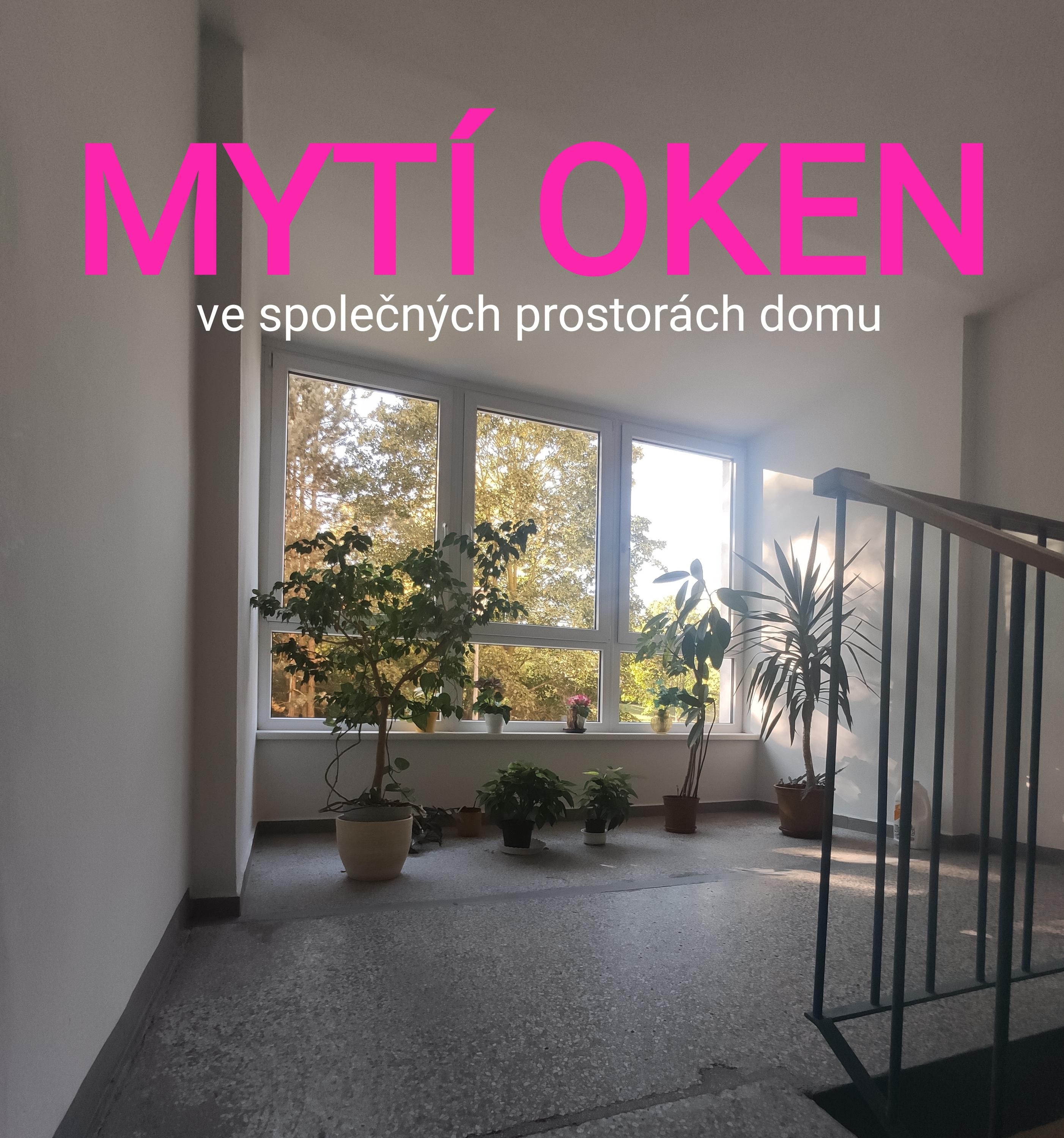 Úklidovka Plzeň foto 2