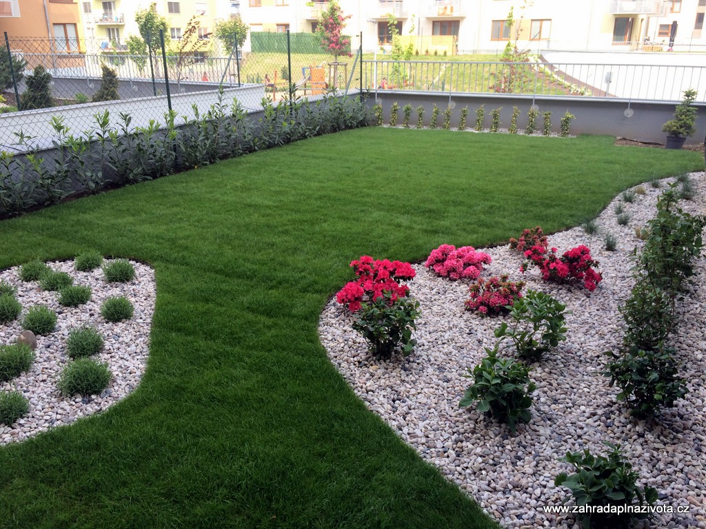 Petr Sedláček - Zahrada plná života foto 4