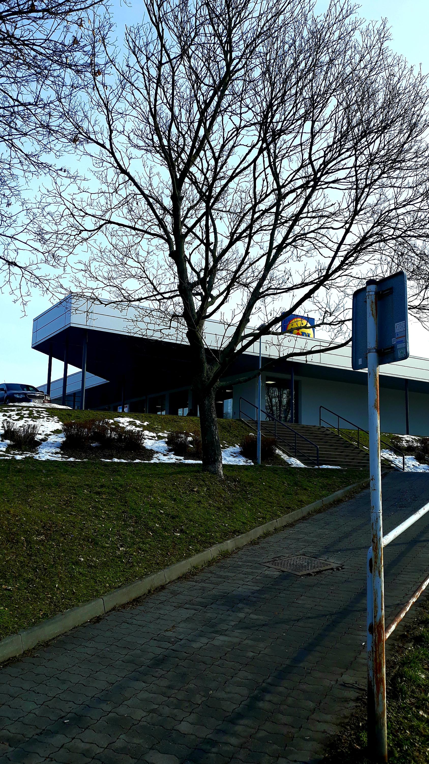 Lidl foto 4